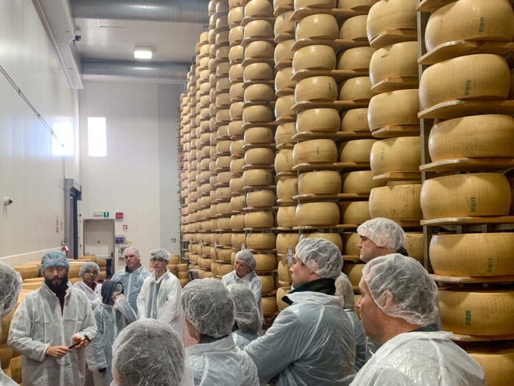 Touring a Parmigiano Reggiano cheese factory