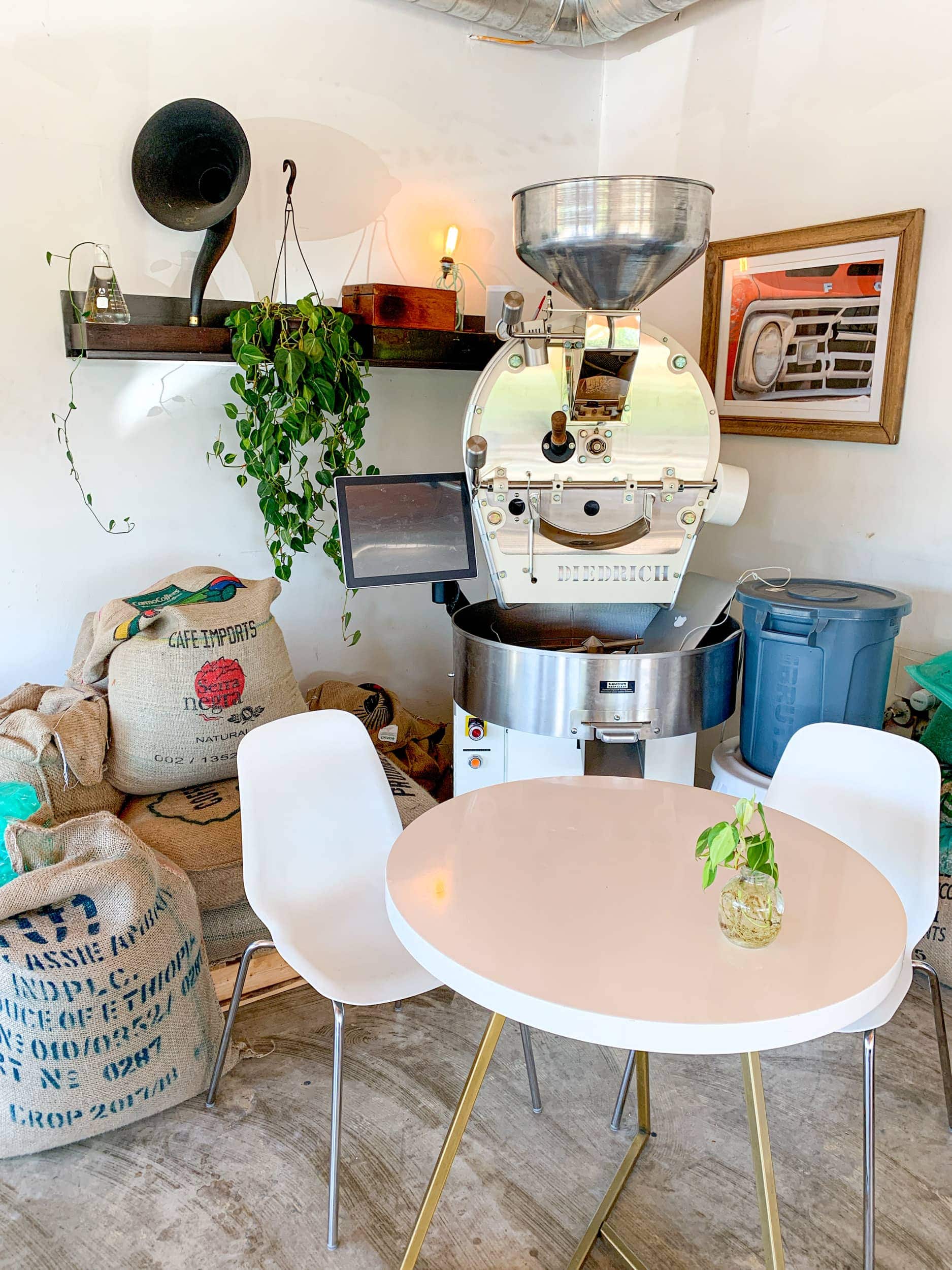 Inside Civil Goat Coffee Co., one of the best cafes in Austin