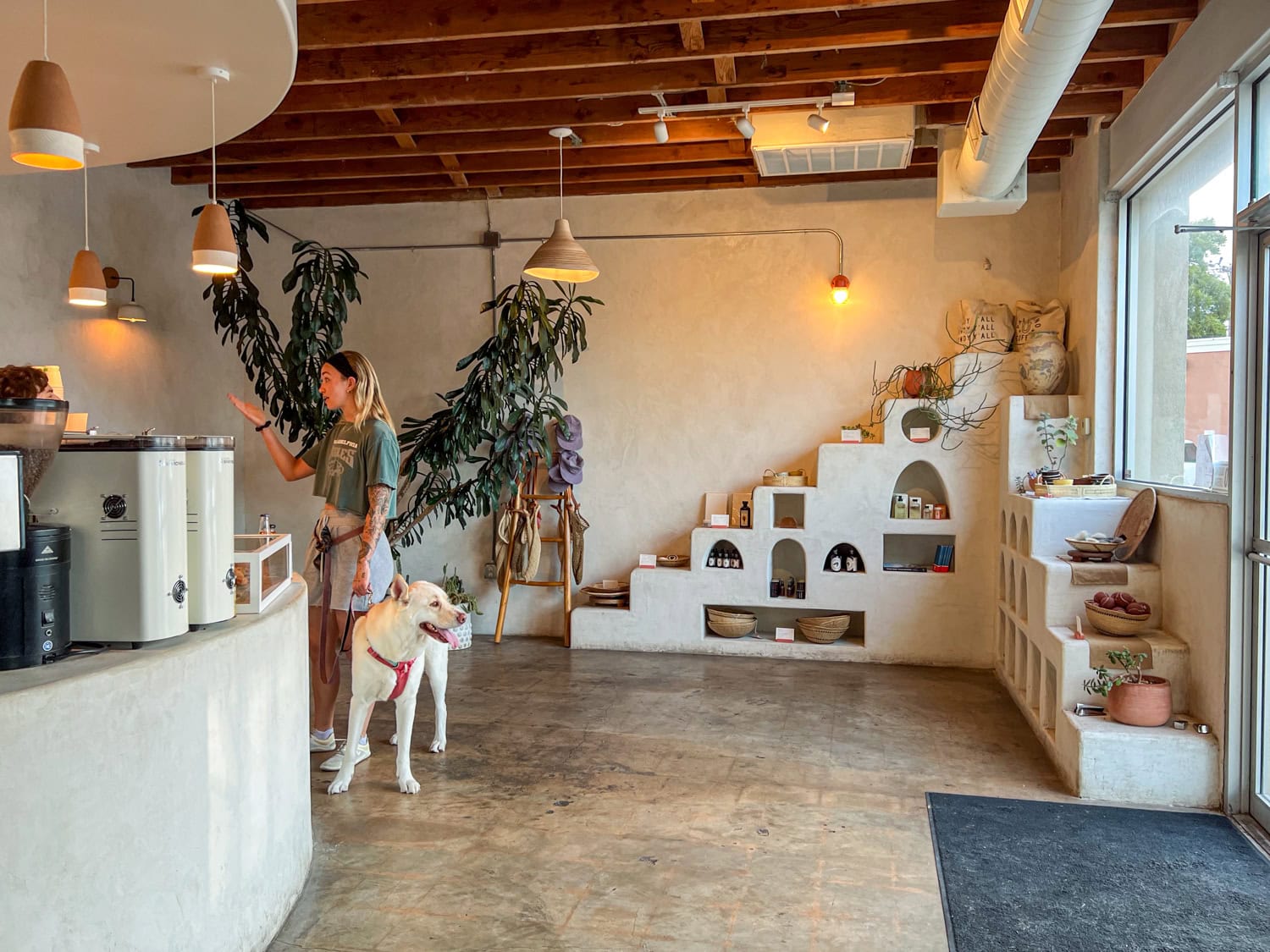 Inside Palomino, one of the coolest coffee shops in Austin.