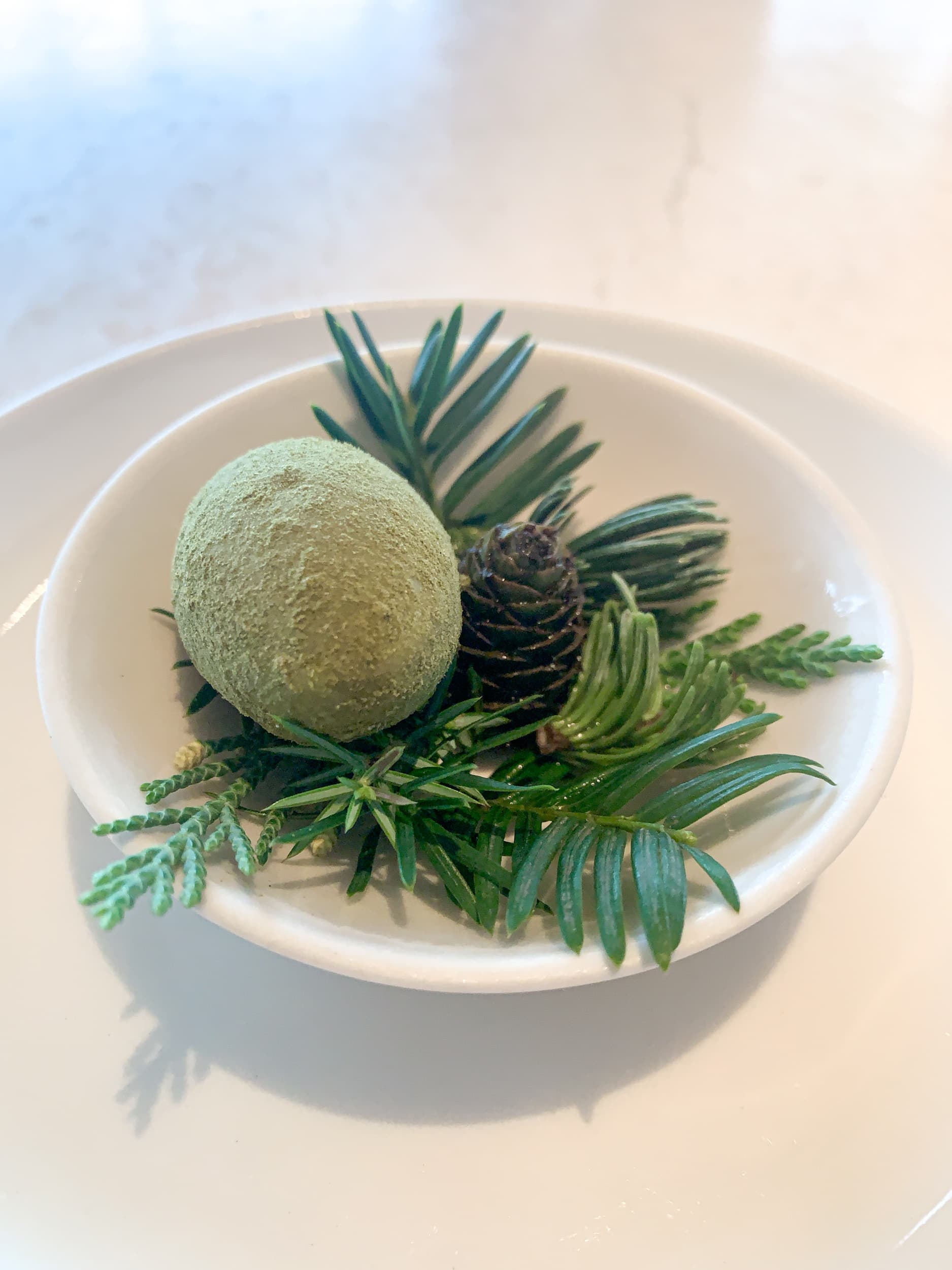 Green egg with pine