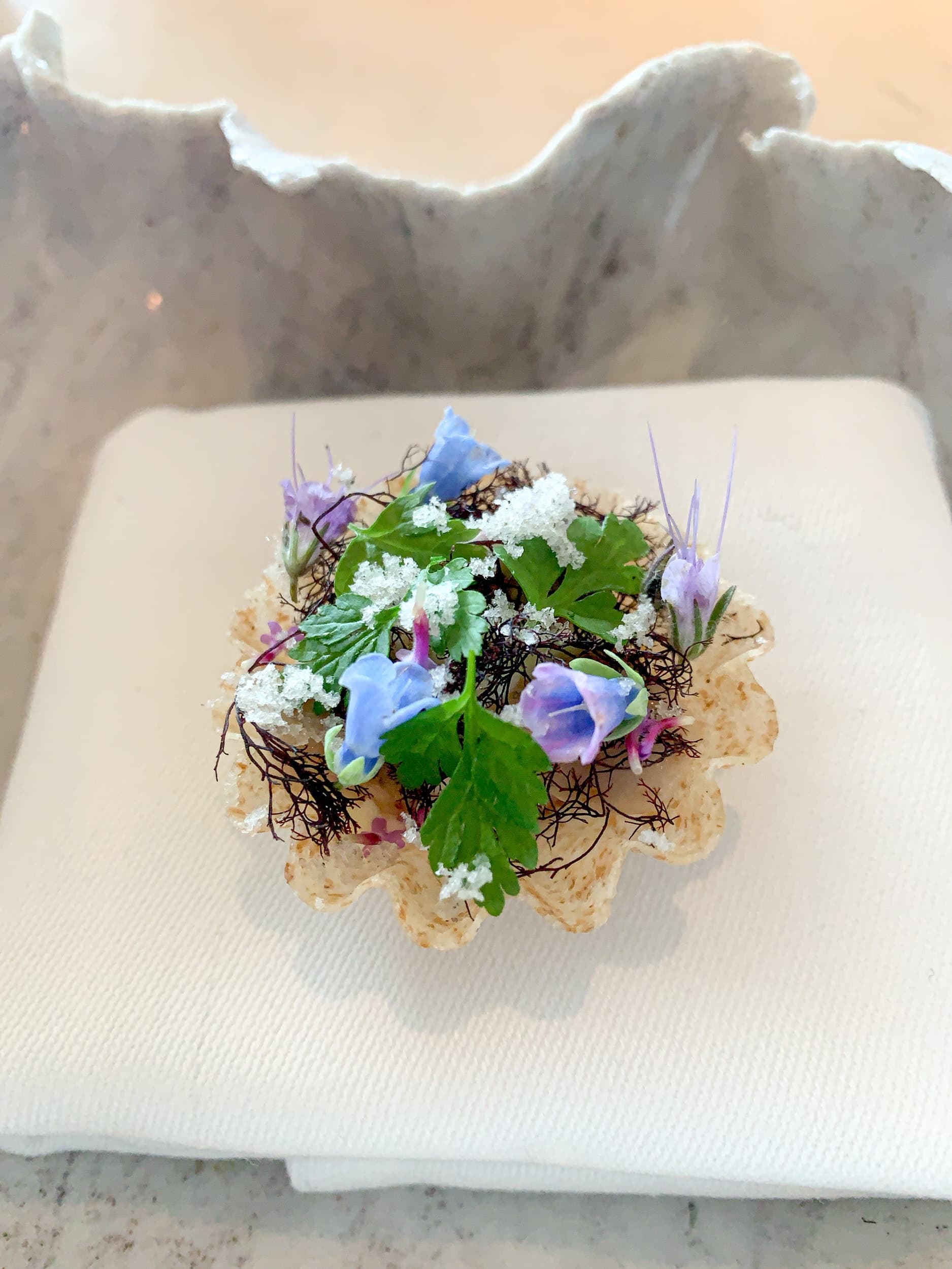 Oyster tartlet with cucumber and truffle seaweed