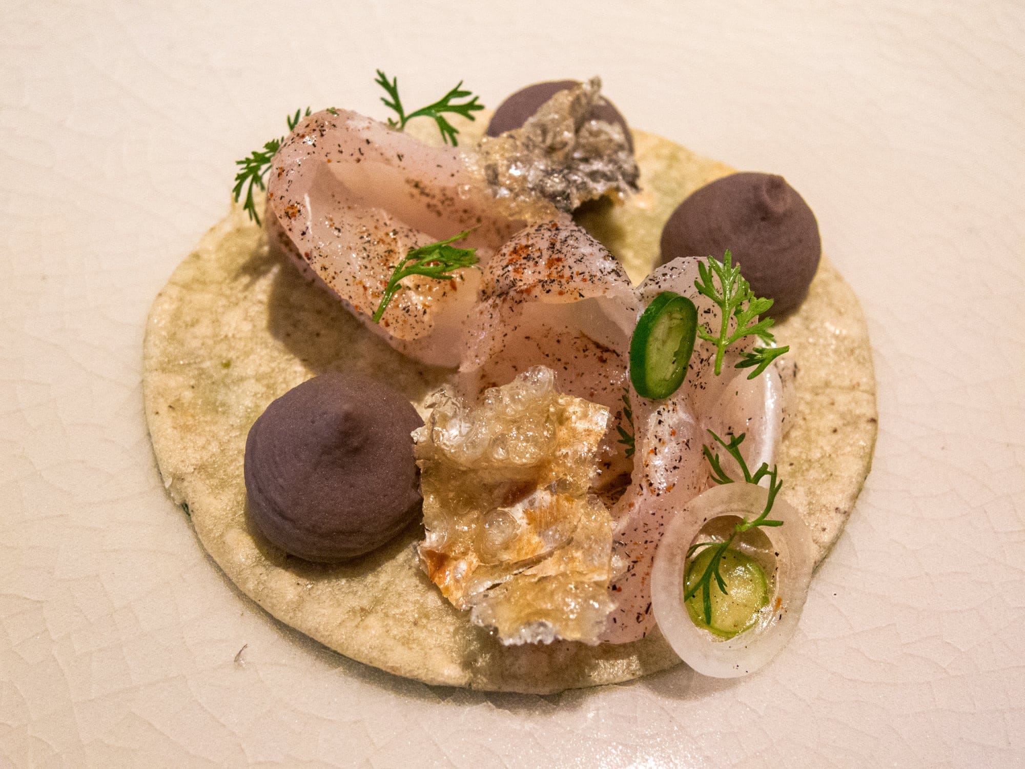 Fish ceviche taco with crispy fish skin and beans