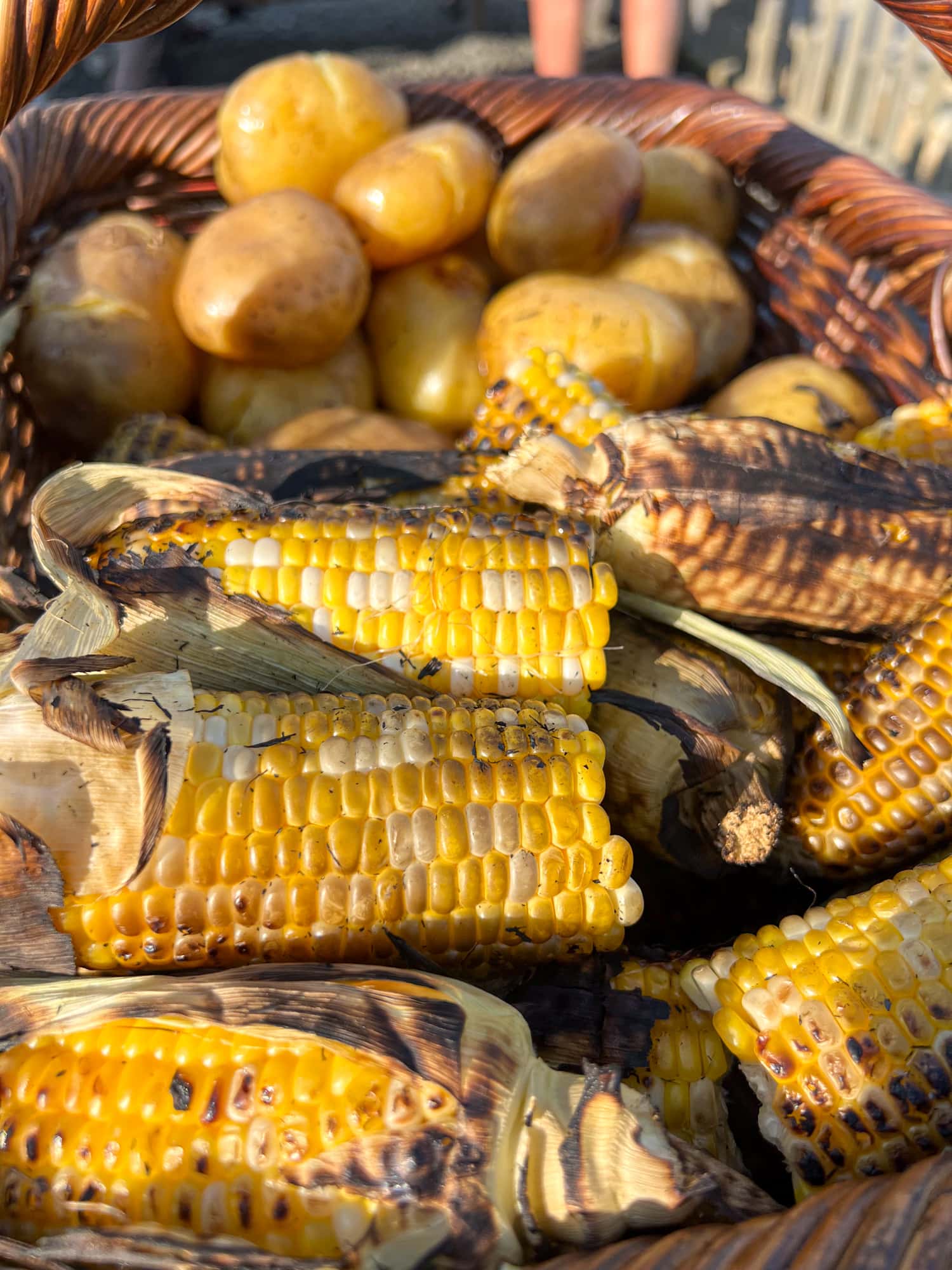 Grilled corn on the cob and potatoes