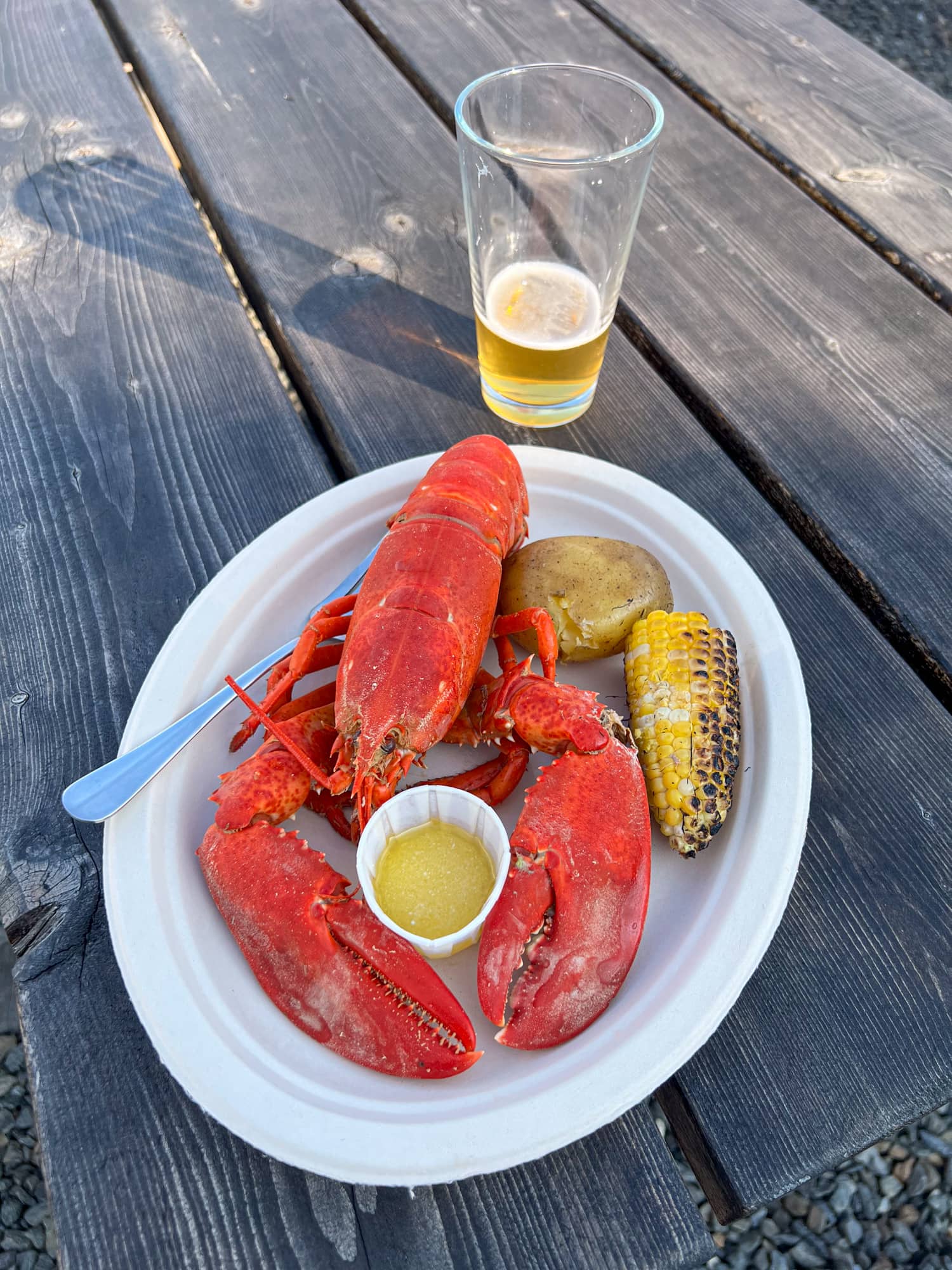 Maine lobster and beer