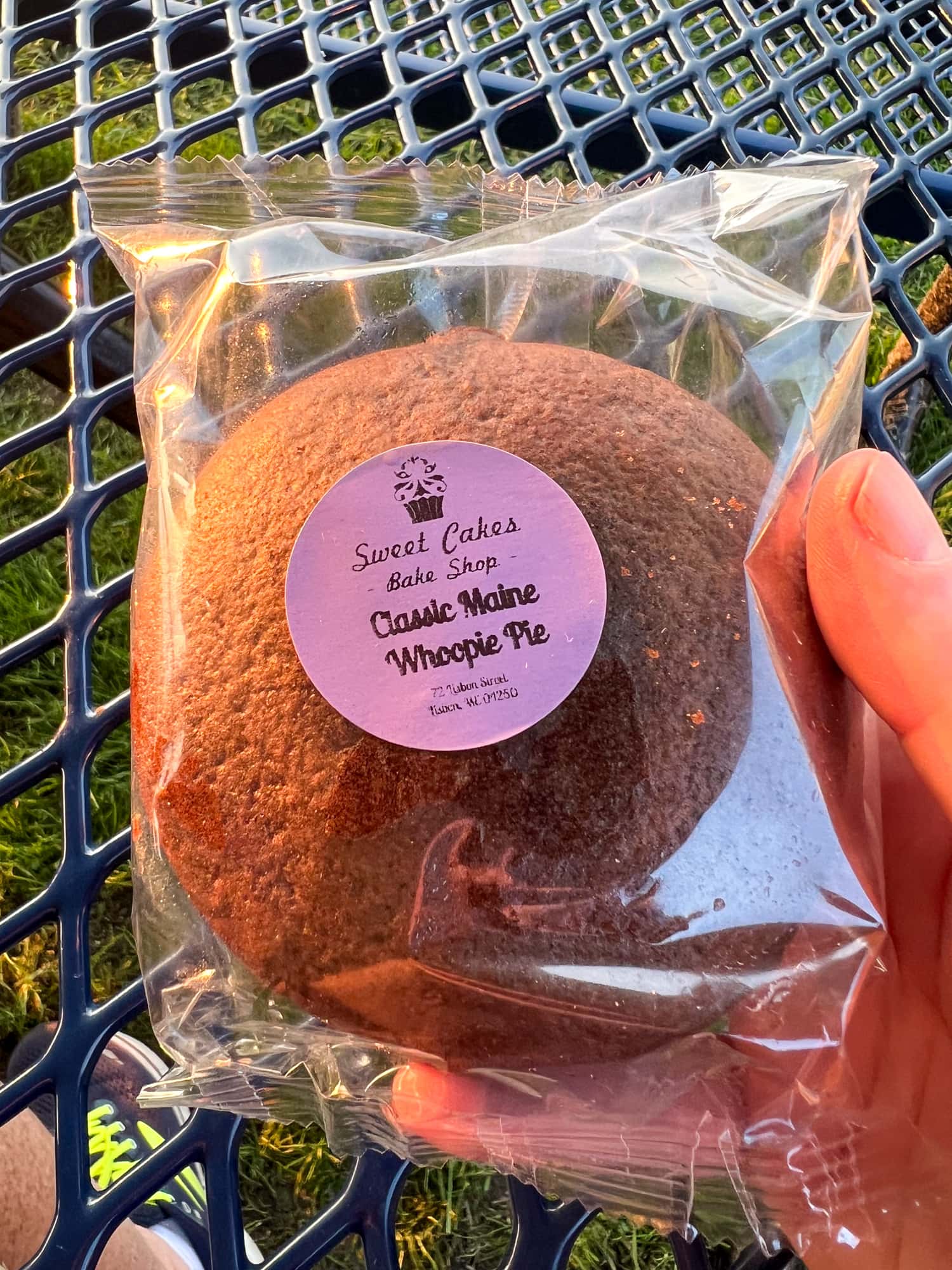 Classic Maine whoopie pie