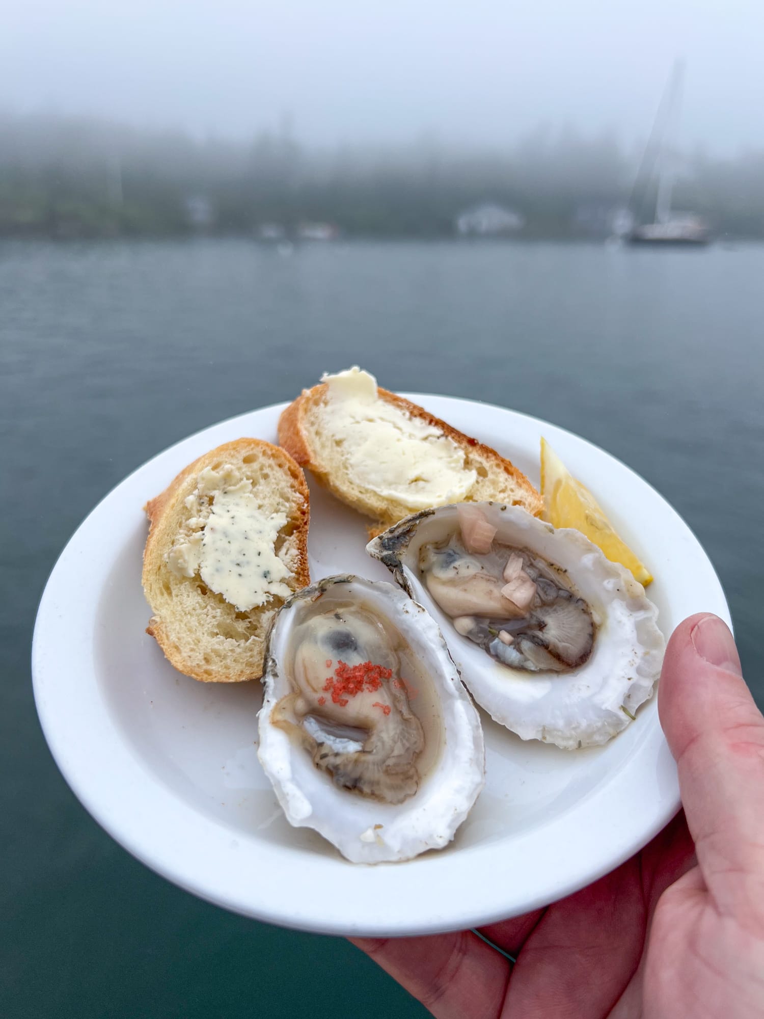 Oysters and French bread