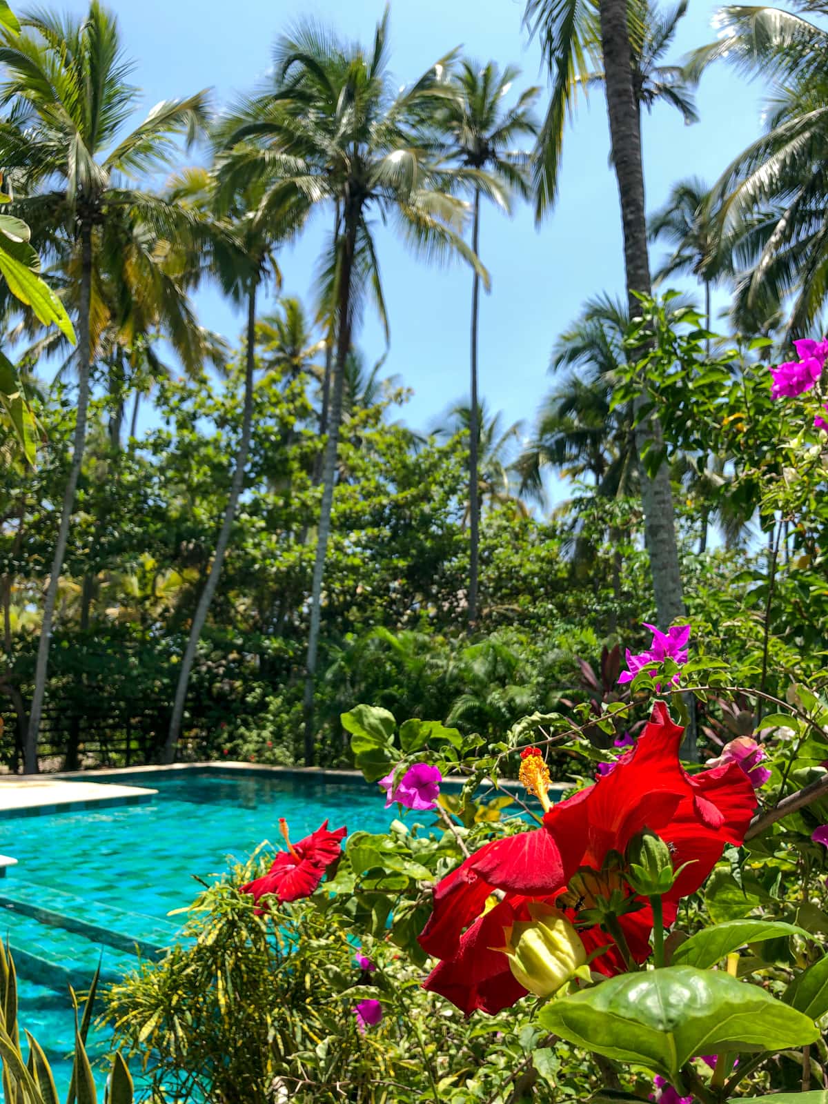 Cayena Beach Villa garden