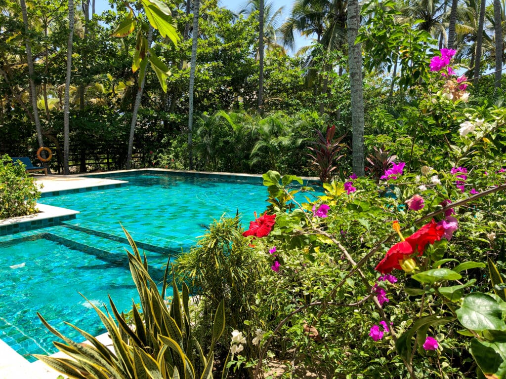 Flowers at Cayena Beach Villa