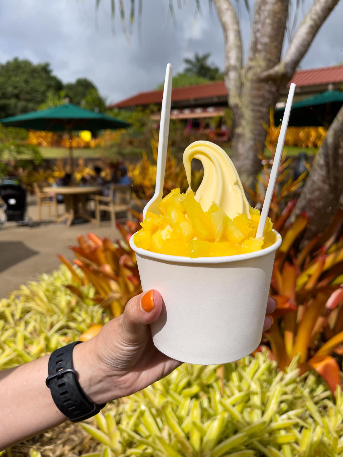 Dole whip with pineapple. 