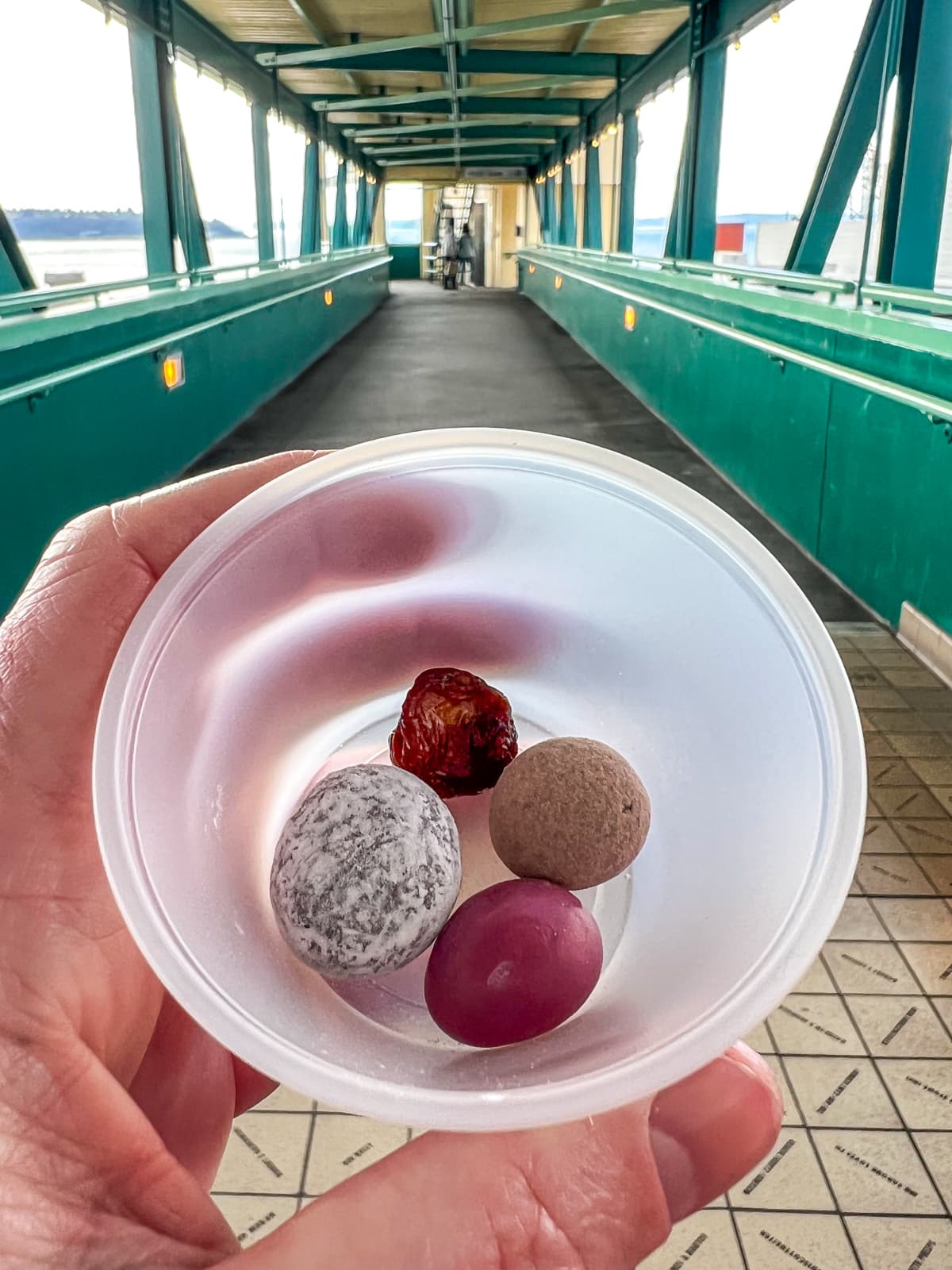 Chocolate-covered cherries by Chukar Cherries at Pike Place Market in Seattle, WA