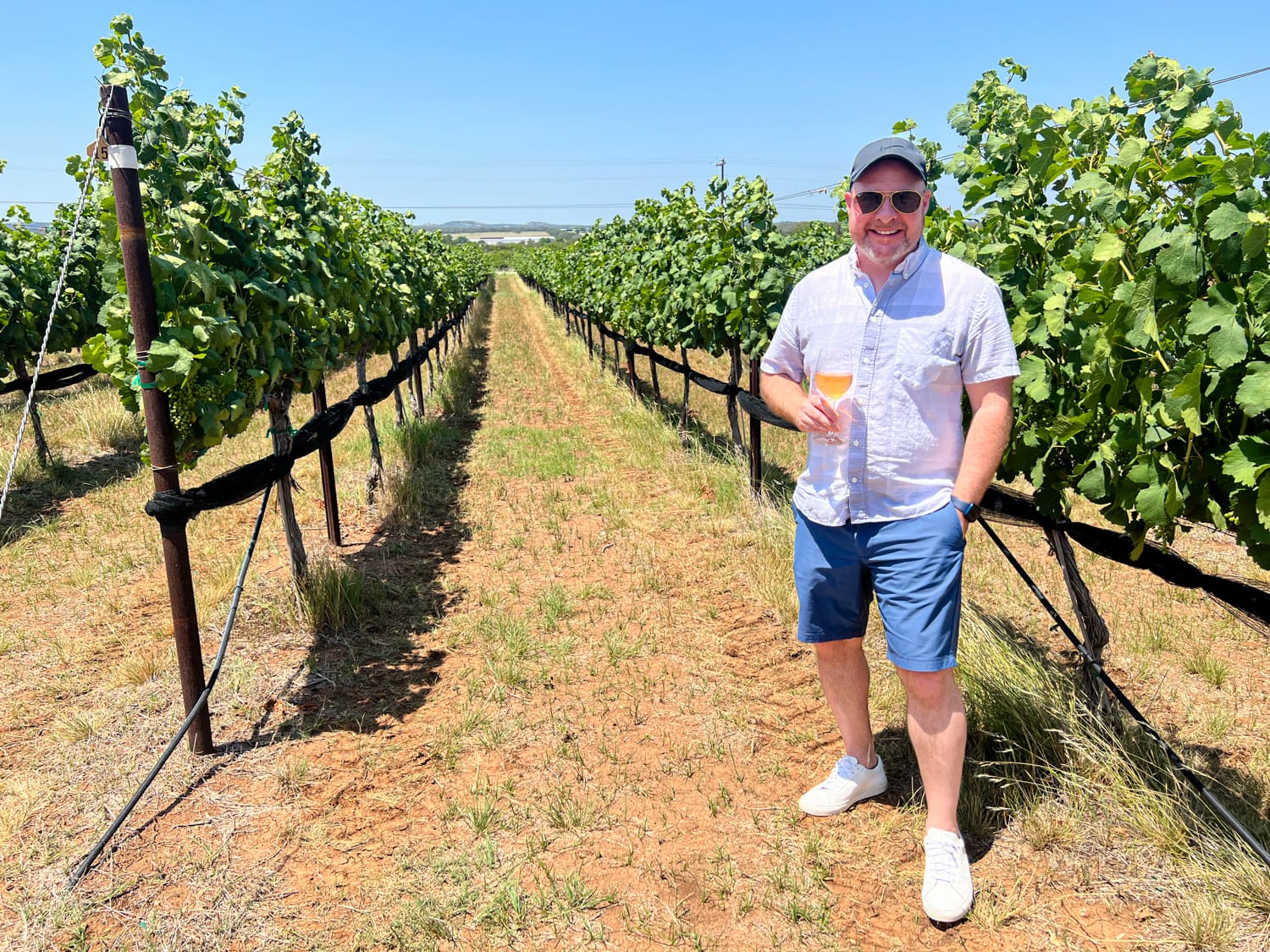 Dave in Kuhlman Cellars' vineyard (photo: Kelly Lemons)