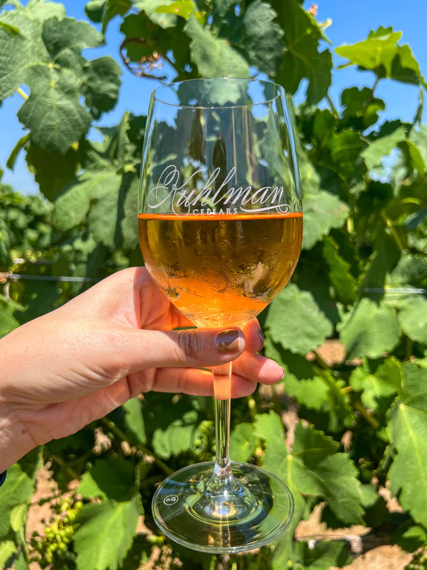 Glass of Kuhlman Cellars rose