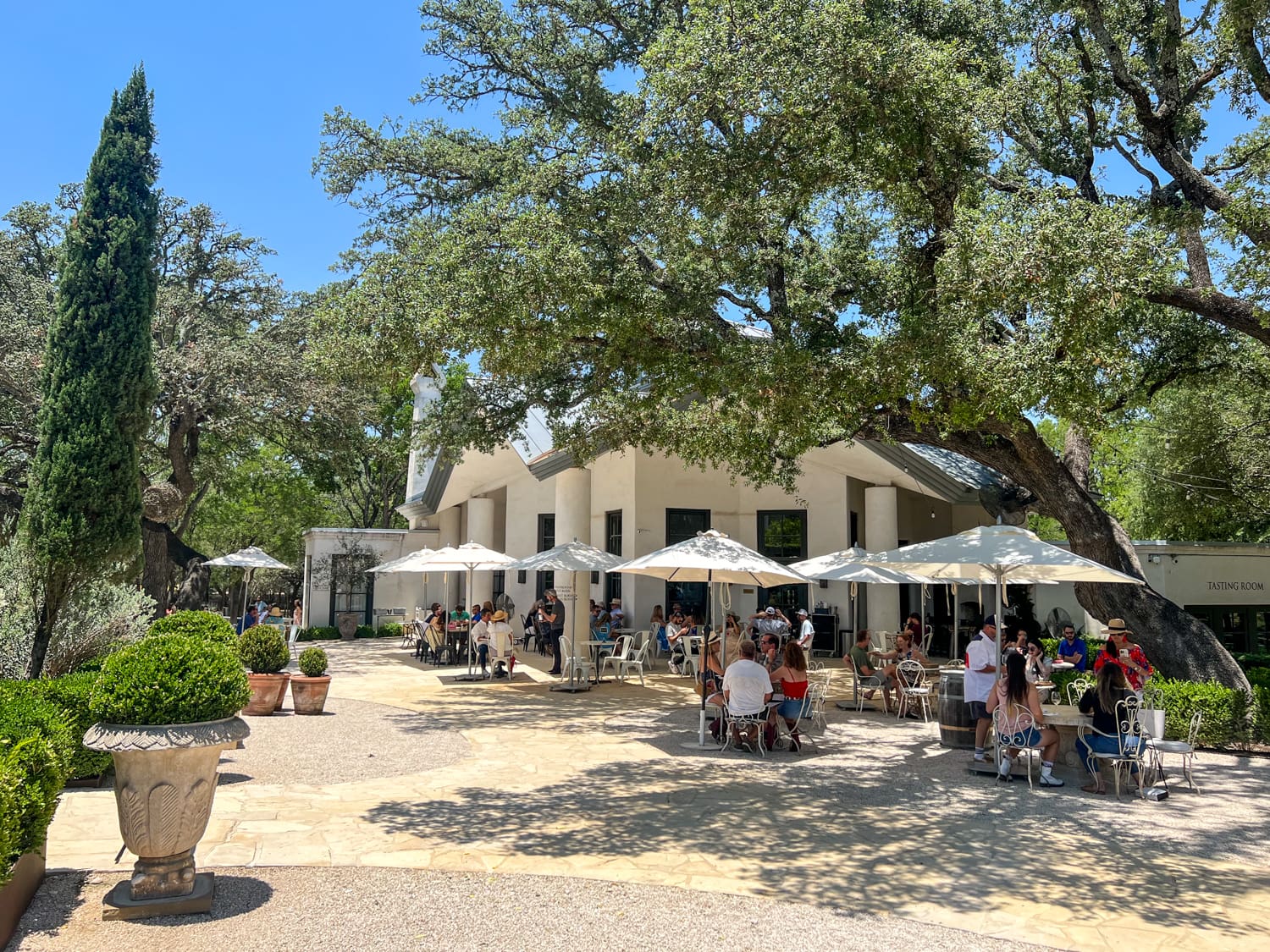 Signor Vineyards in Fredericksburg, Texas