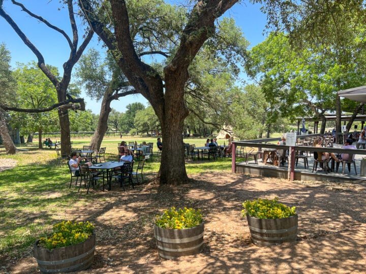 Best Wine Tasting Experiences in Fredericksburg, TX Feastio