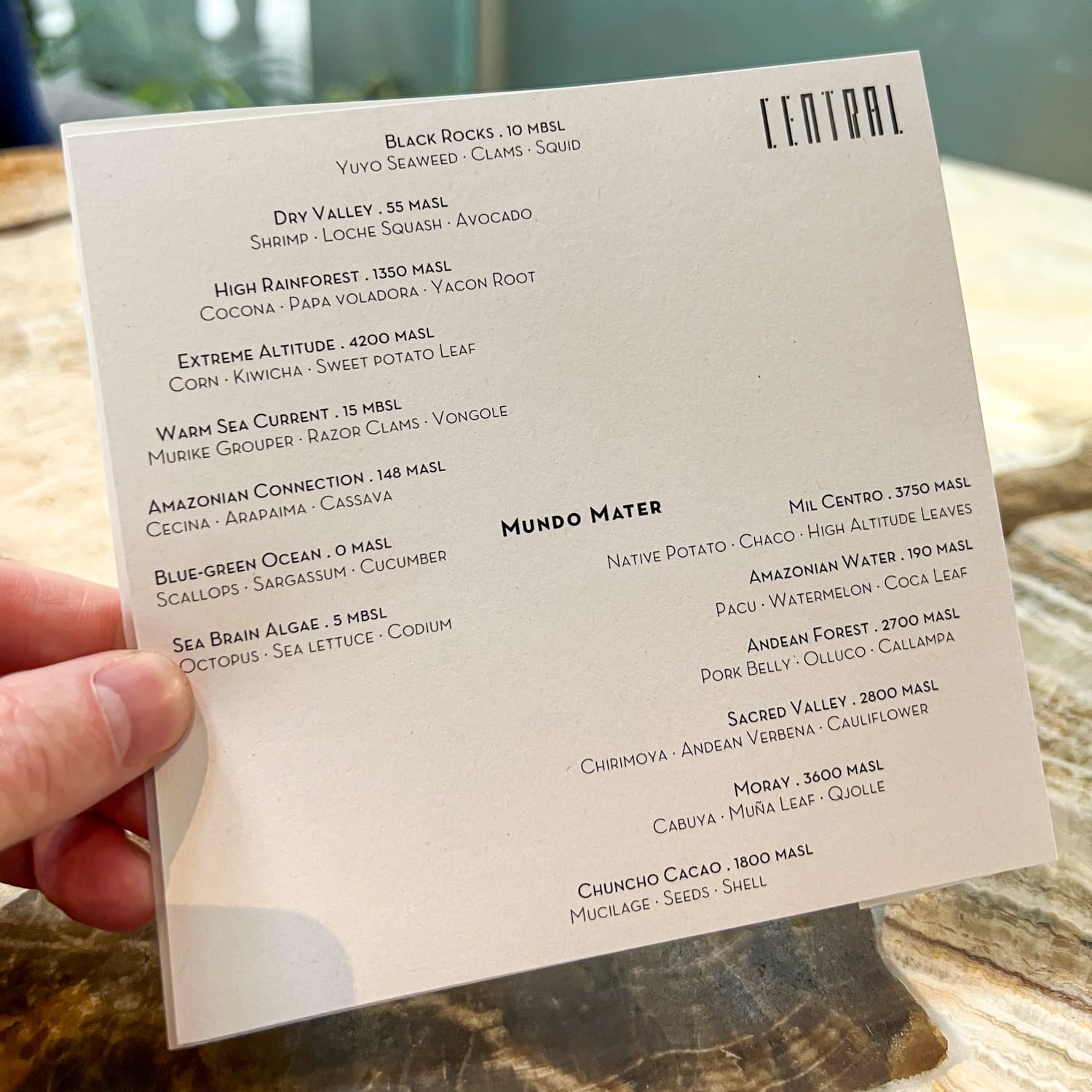 Mundo Mater menu