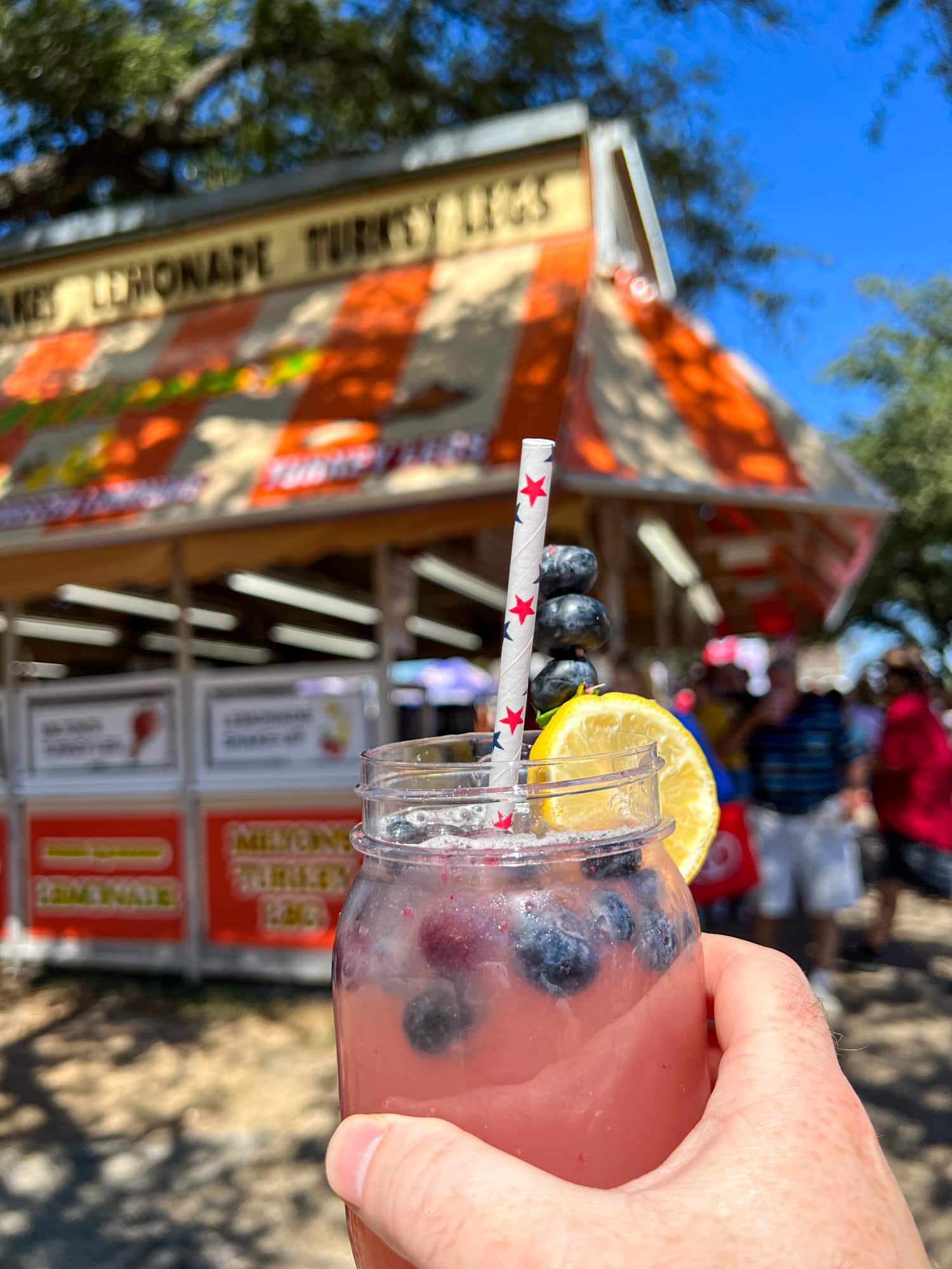 how much is a turkey leg at the state fair