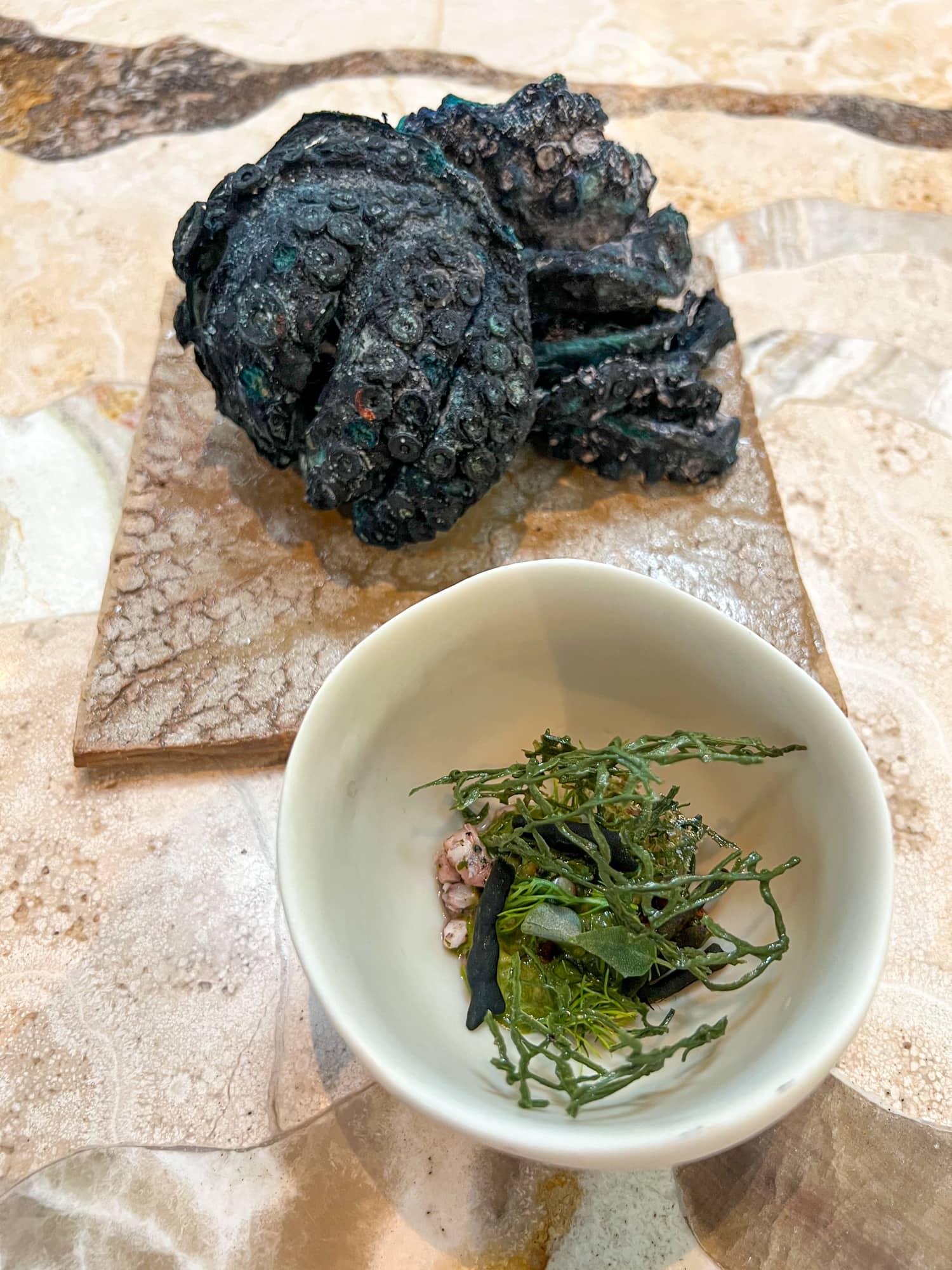 Octopus, sea lettuce, and codium 