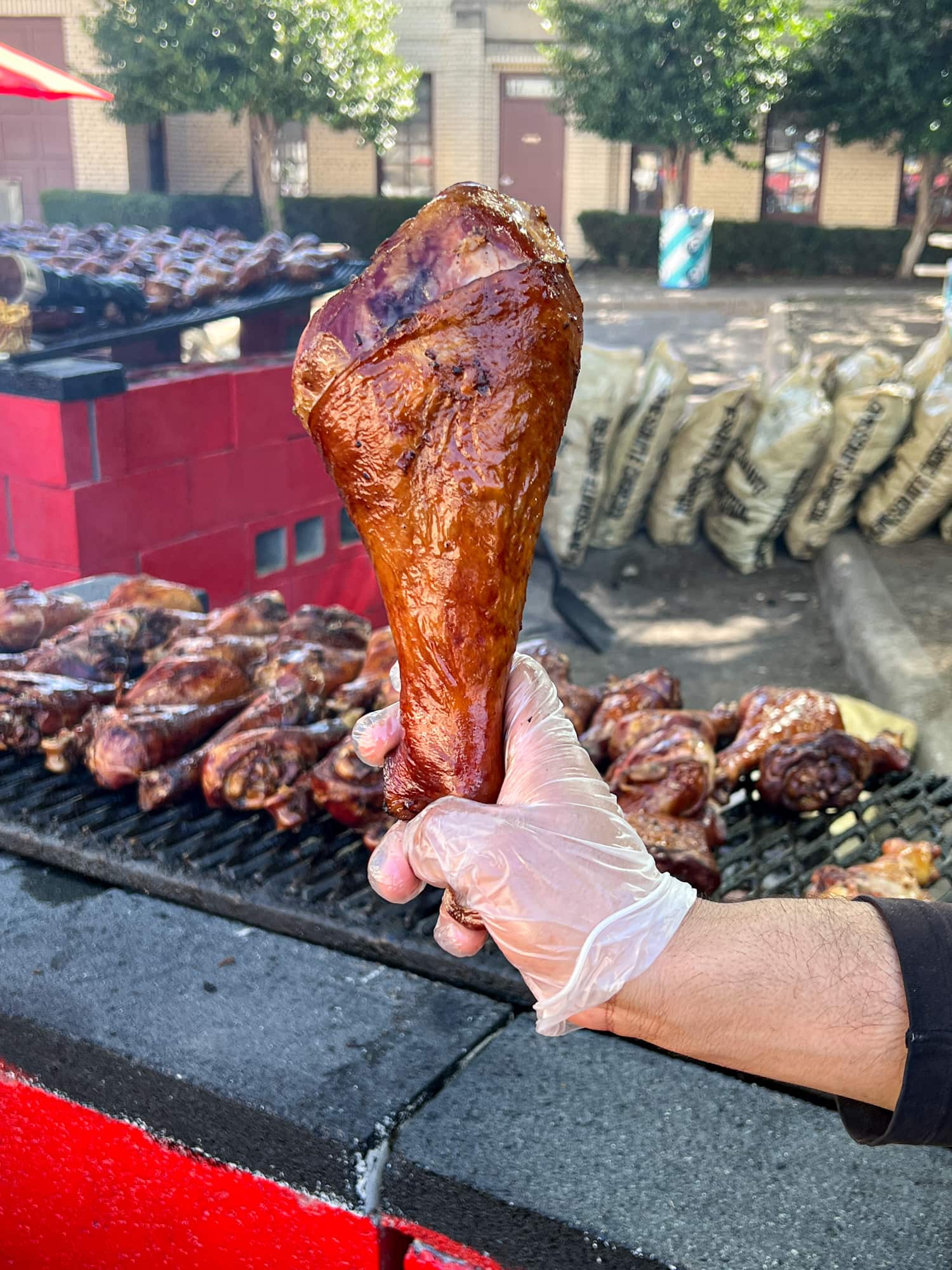 Turkey leg (photo by Kelly Lemons)