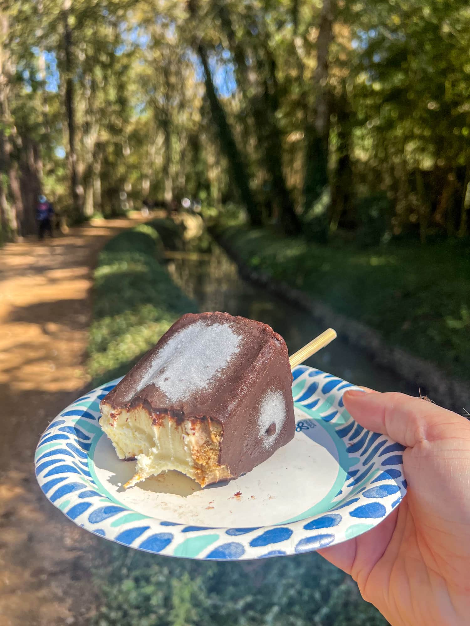 Chocolate-dipped cheesecake on a stick