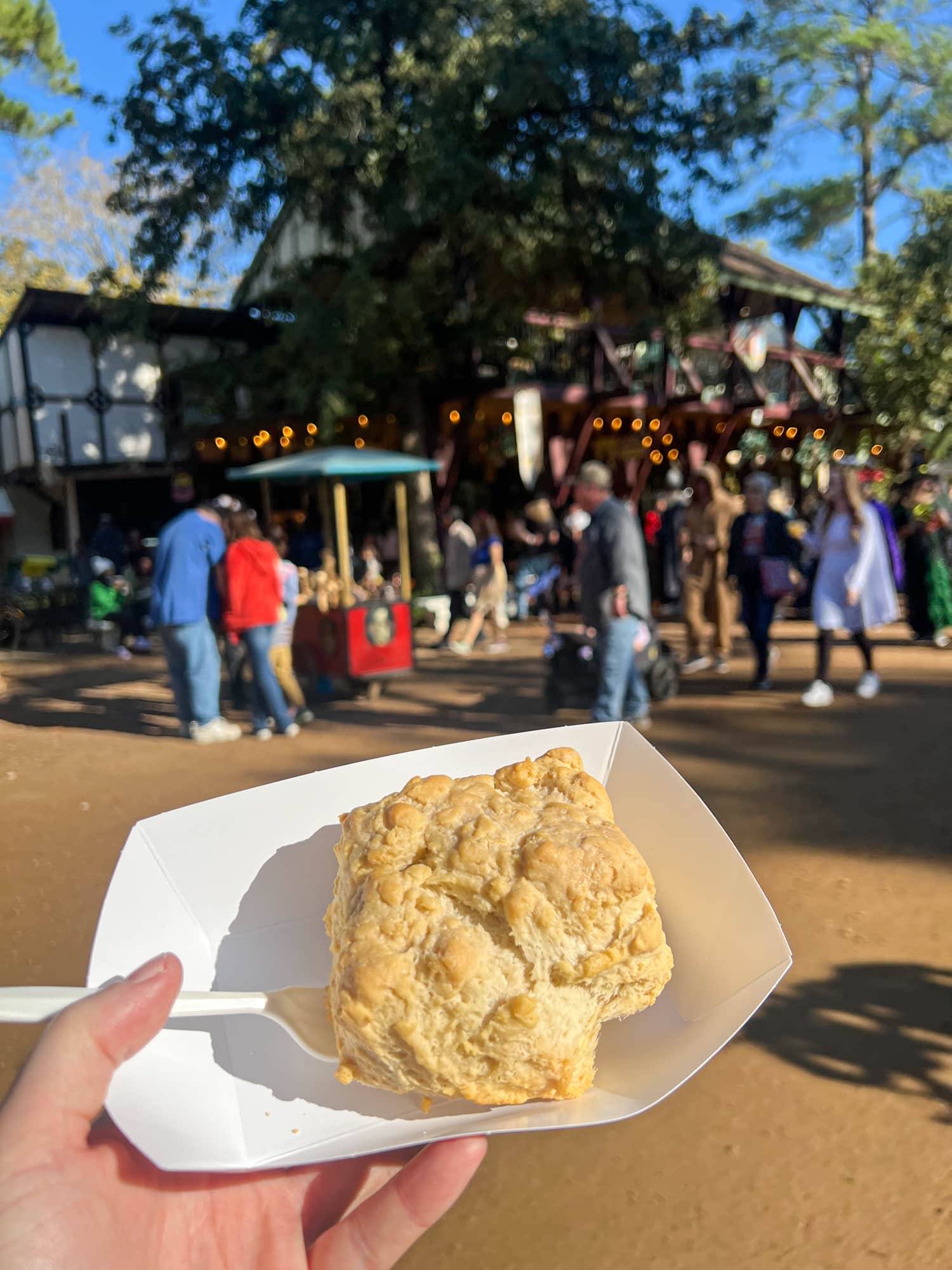 Giant biscuit