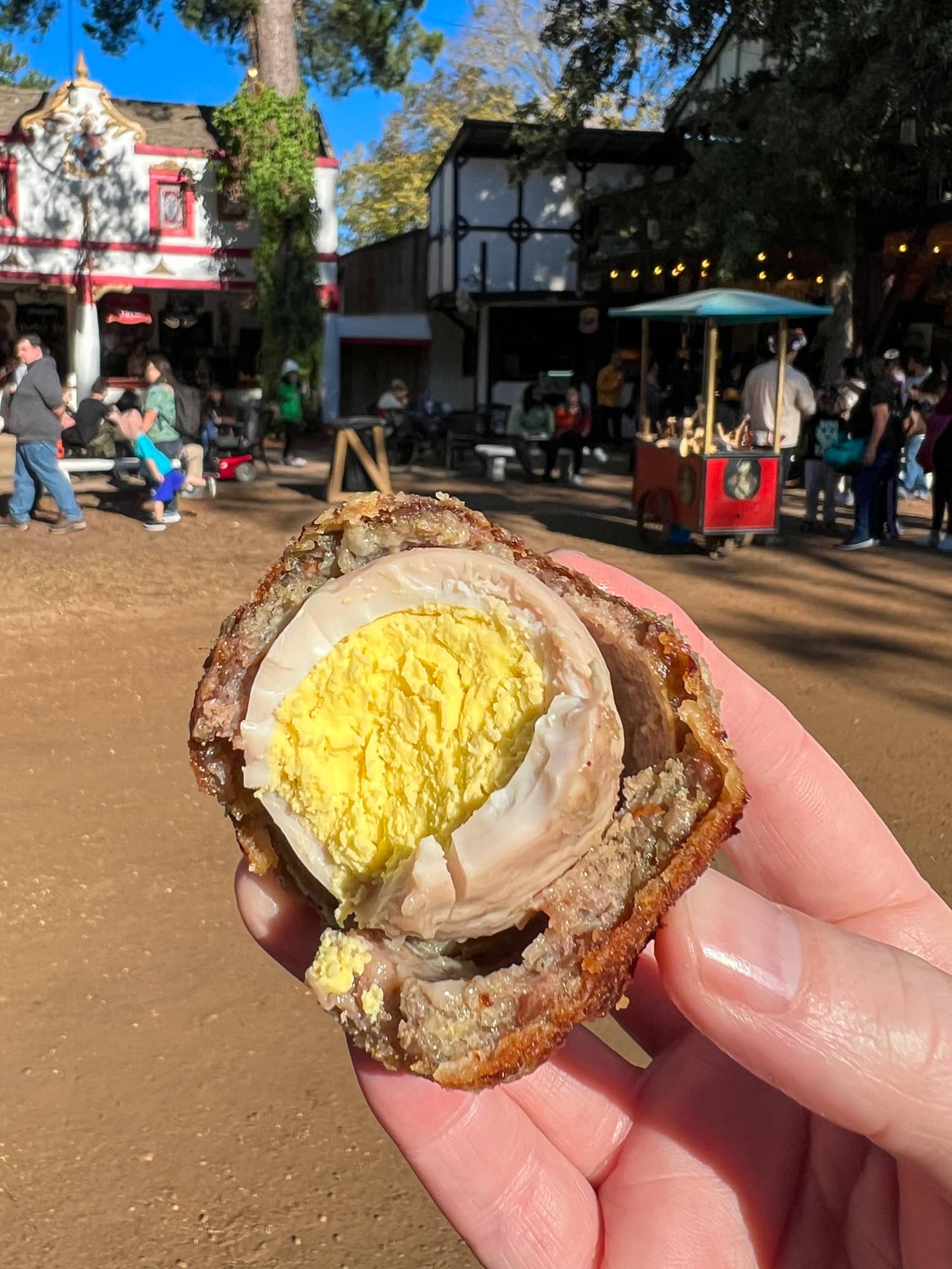 Scotch egg