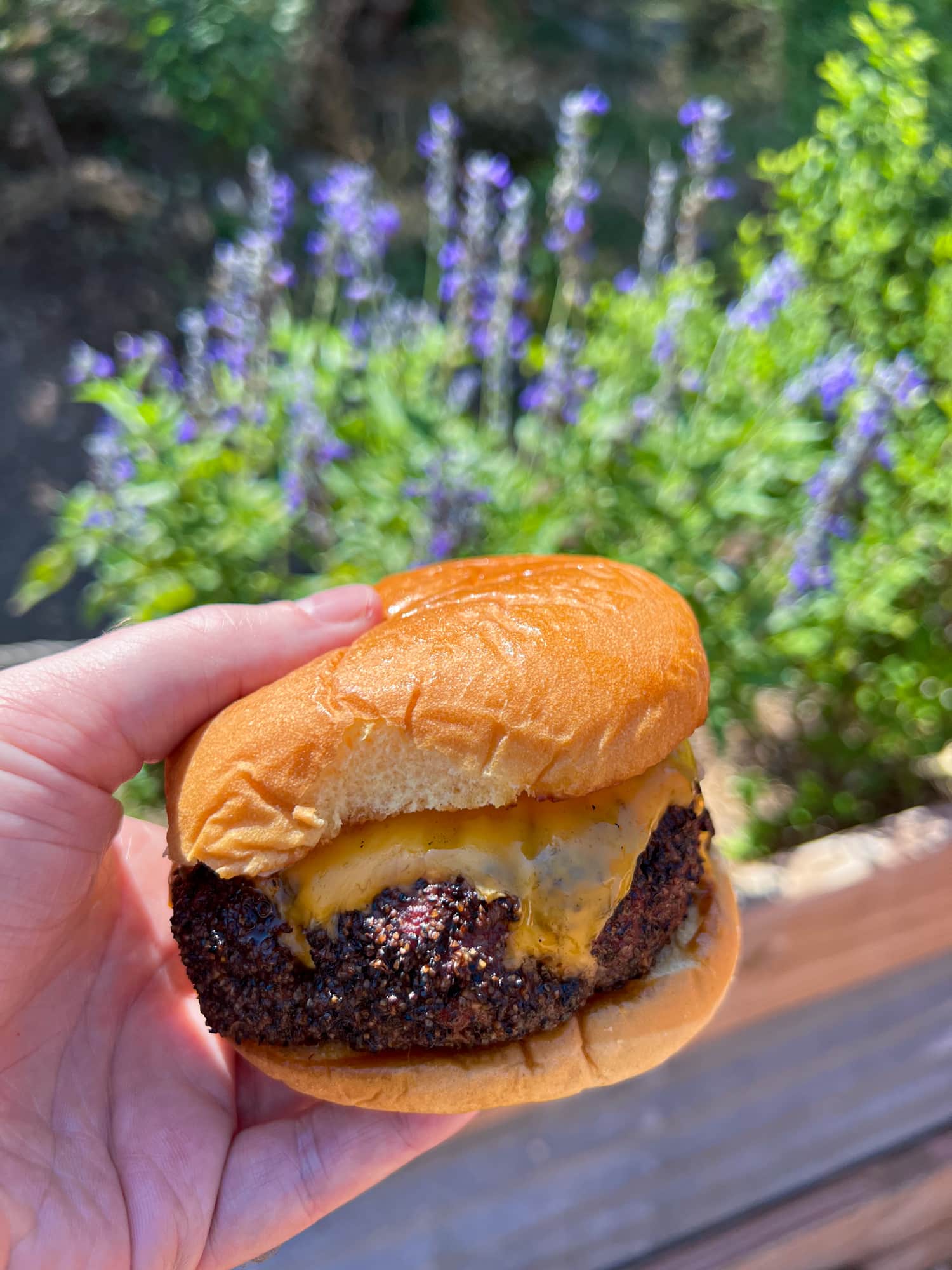 L and L Burger at Leroy and Lewis Barbecue in Austin, Texas