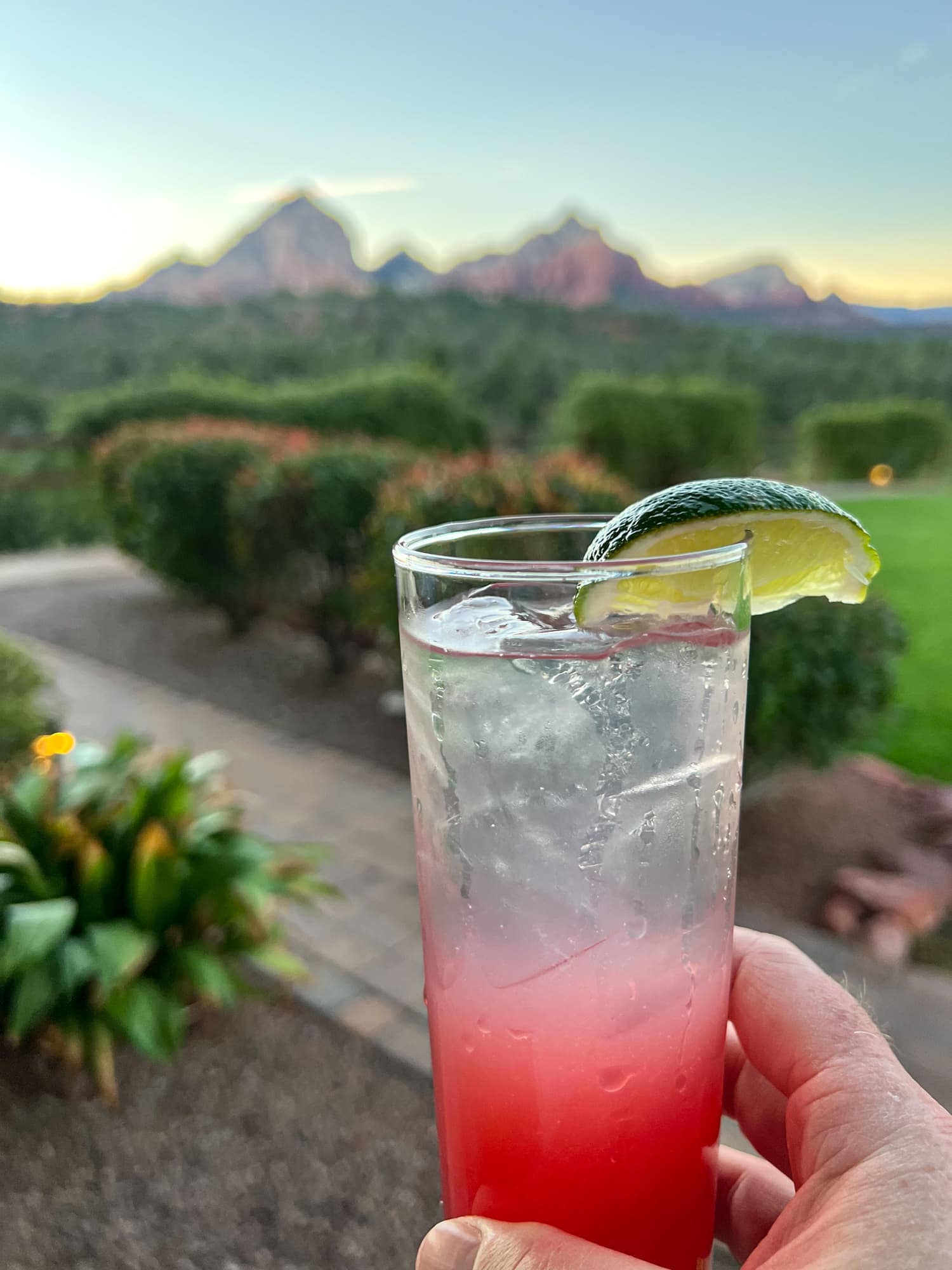 Prickly pear swizzle cocktail