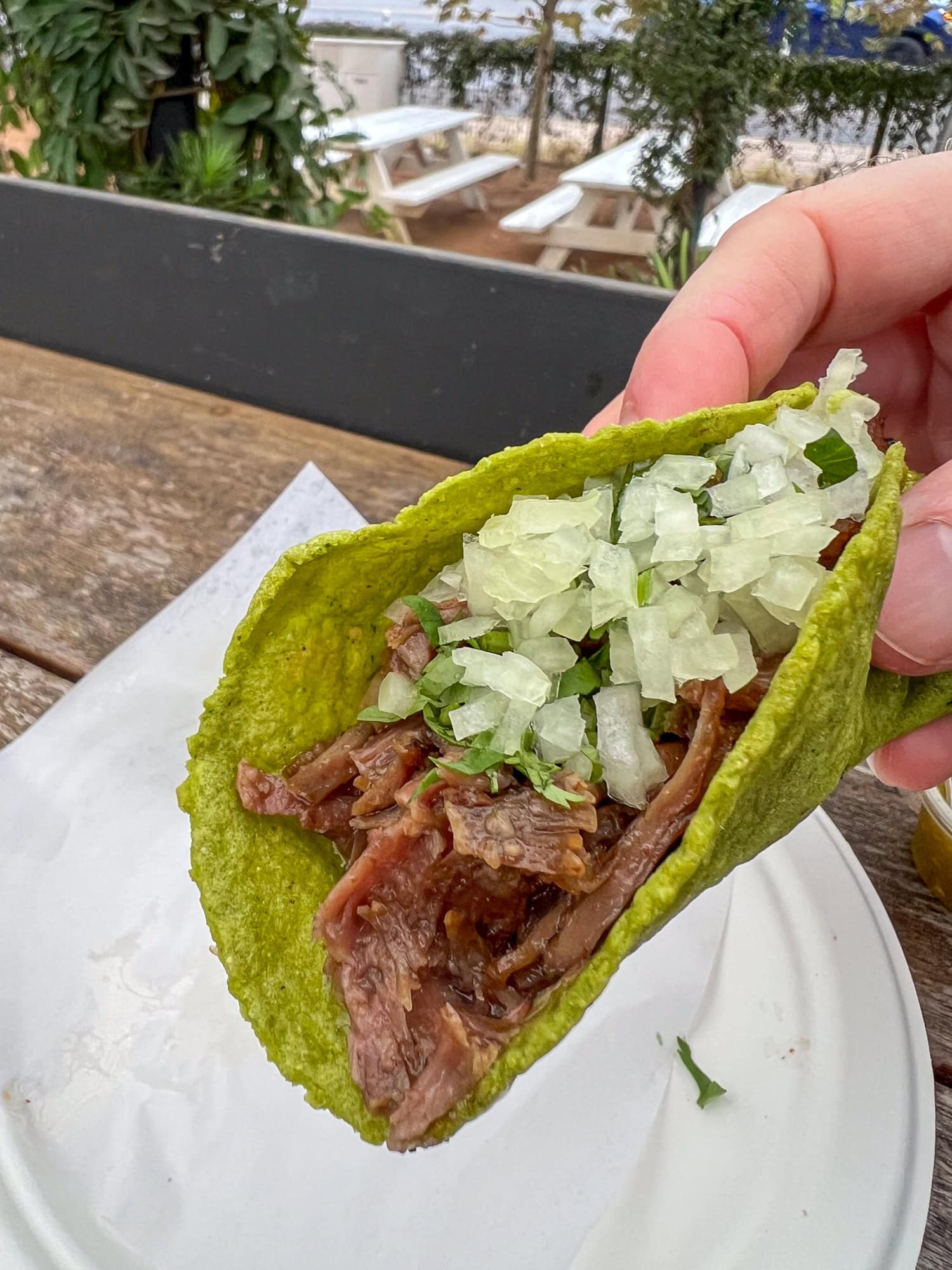 Barbacoa taco with spinach tortilla at La Santa Barbacha.