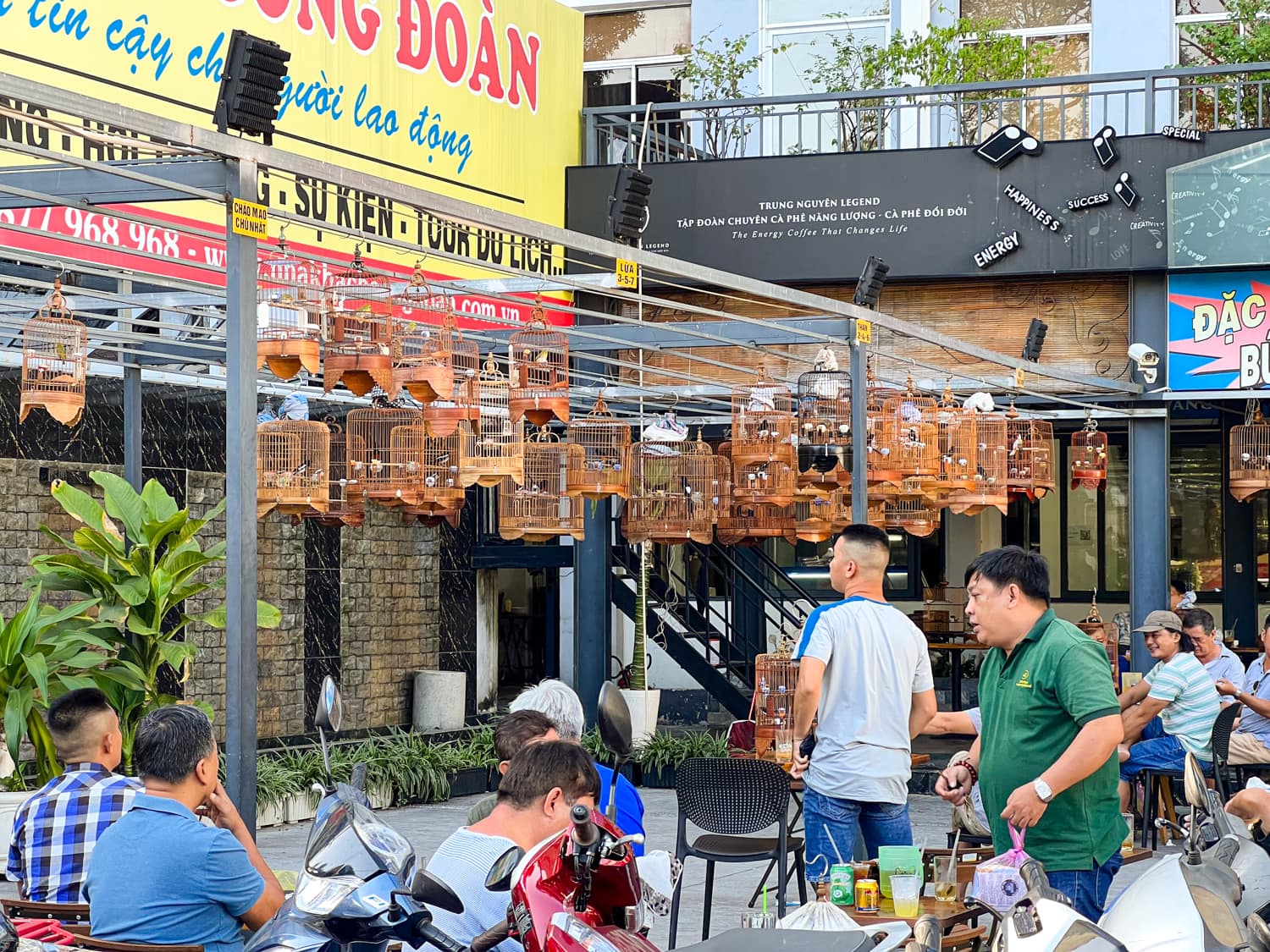 Bird cages hang at Cong Doan Restaurant