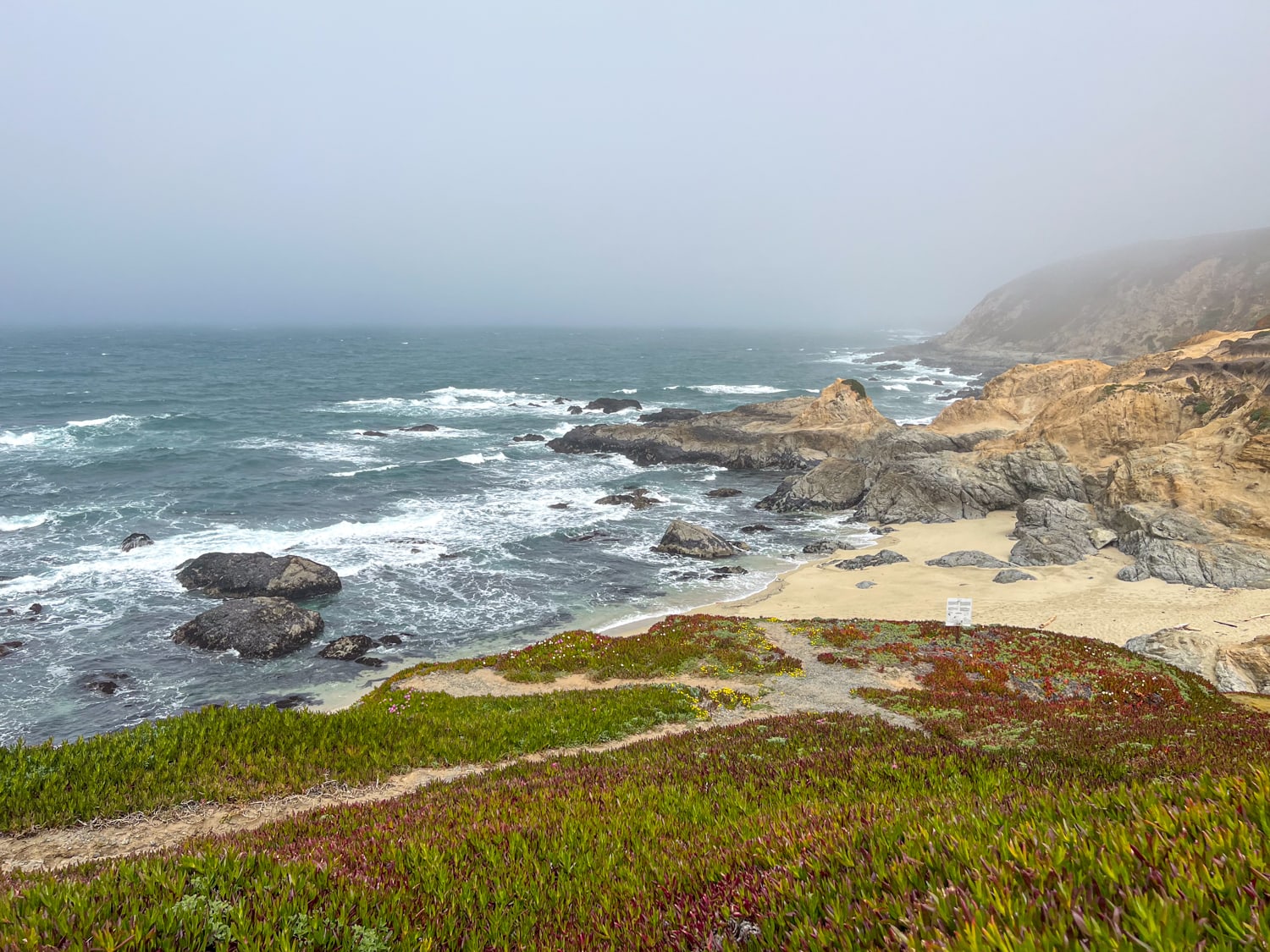 Bodega Marine Life Refuge, California