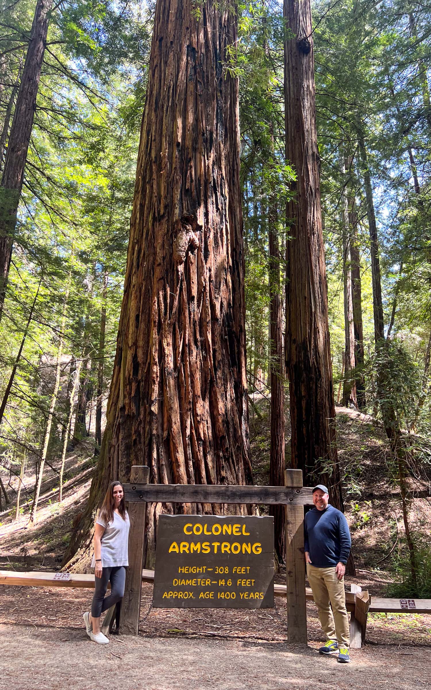 Walking in Armstrong Redwoods State Natural Reserve is a must for any San Francisco to Sonoma road trip.