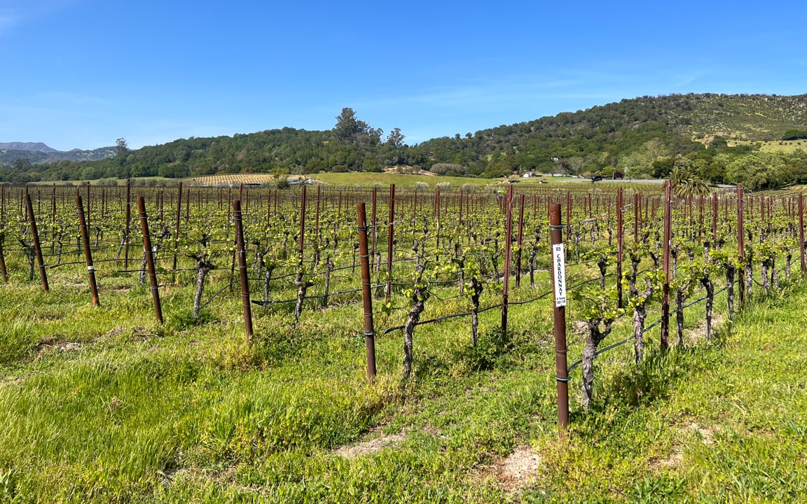 The Best Things To Do in Sonoma Valley: A Wine Country Guide