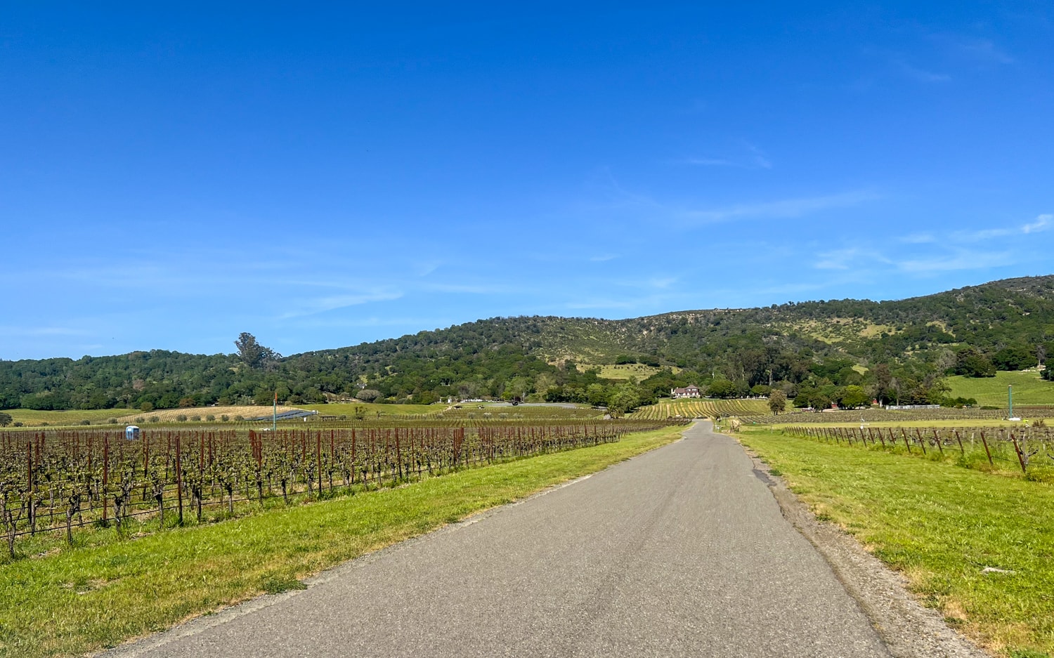 Gundlach Bundschu Winery in Sonoma Valley