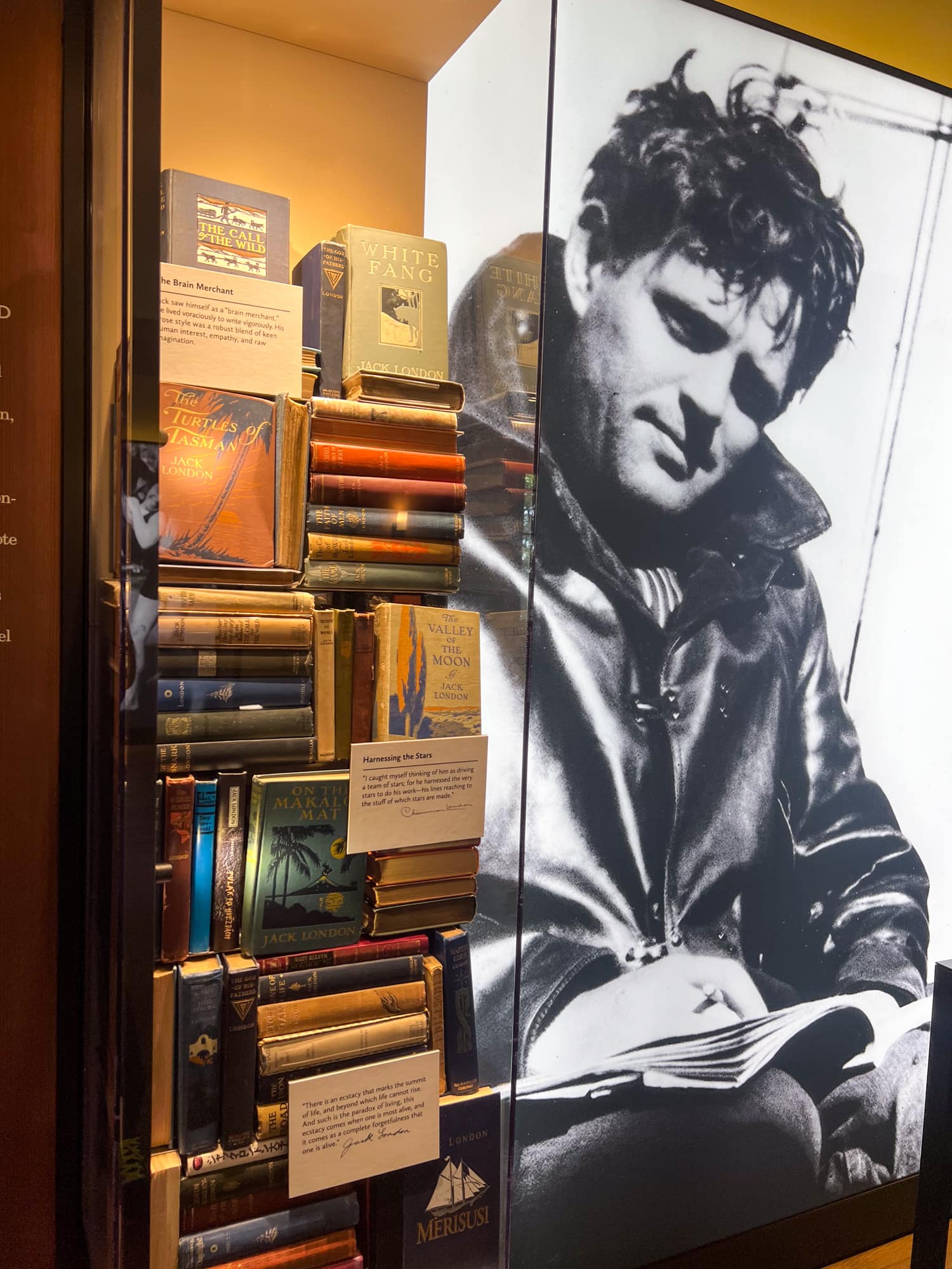 Books by Jack London