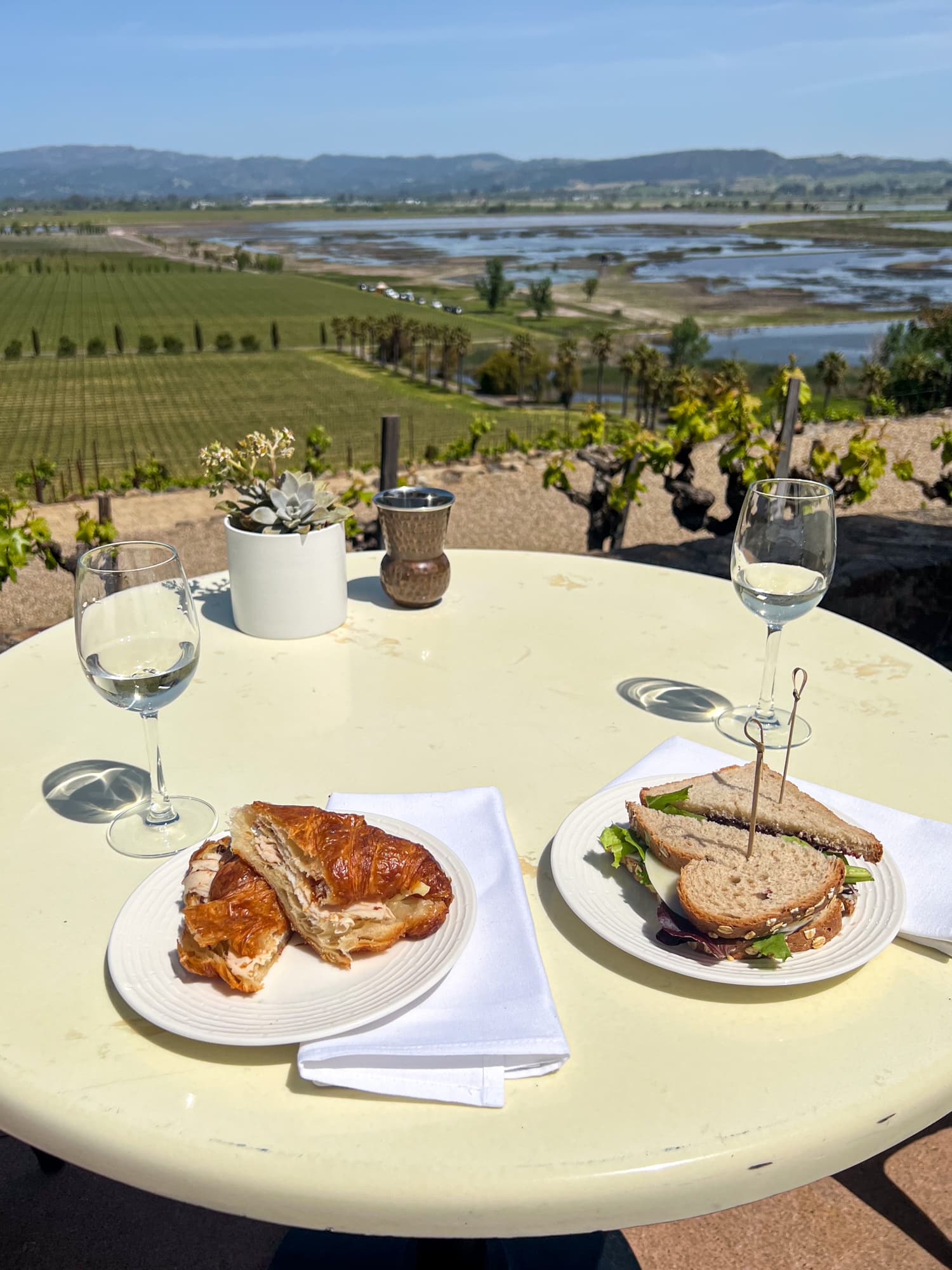 Lunch sandwiches with a view of the vineyards and wetlands in Sonoma Valley, California