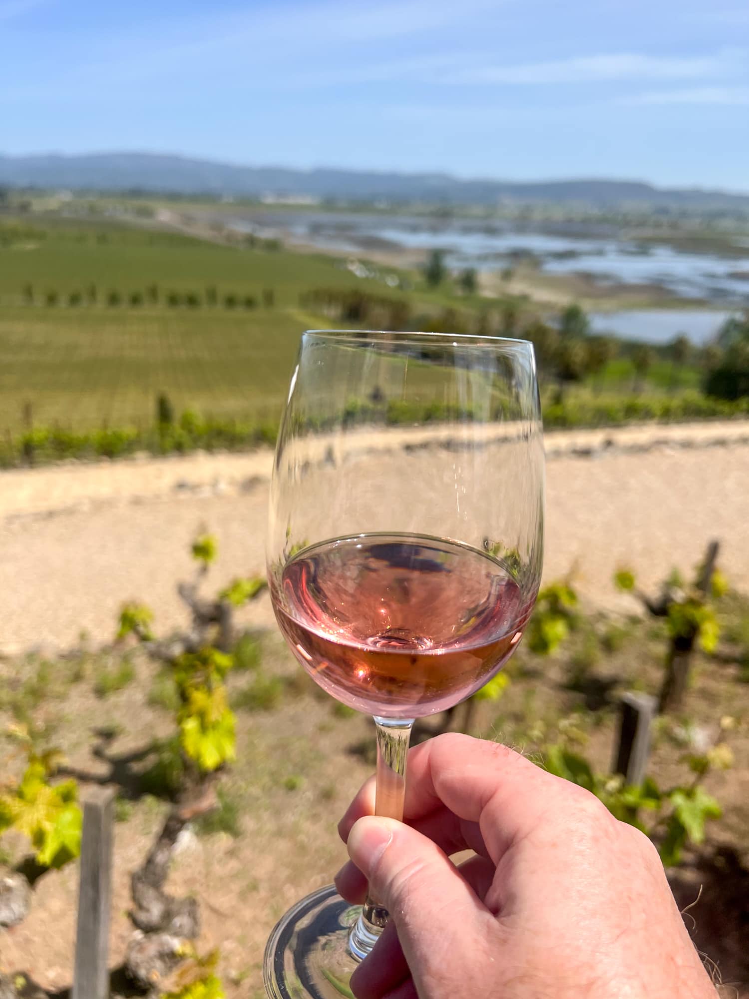 Wine tasting is one of the best things to do in Sonoma Valley, California. Pictured is a glass of rose at Viansa Winery. 