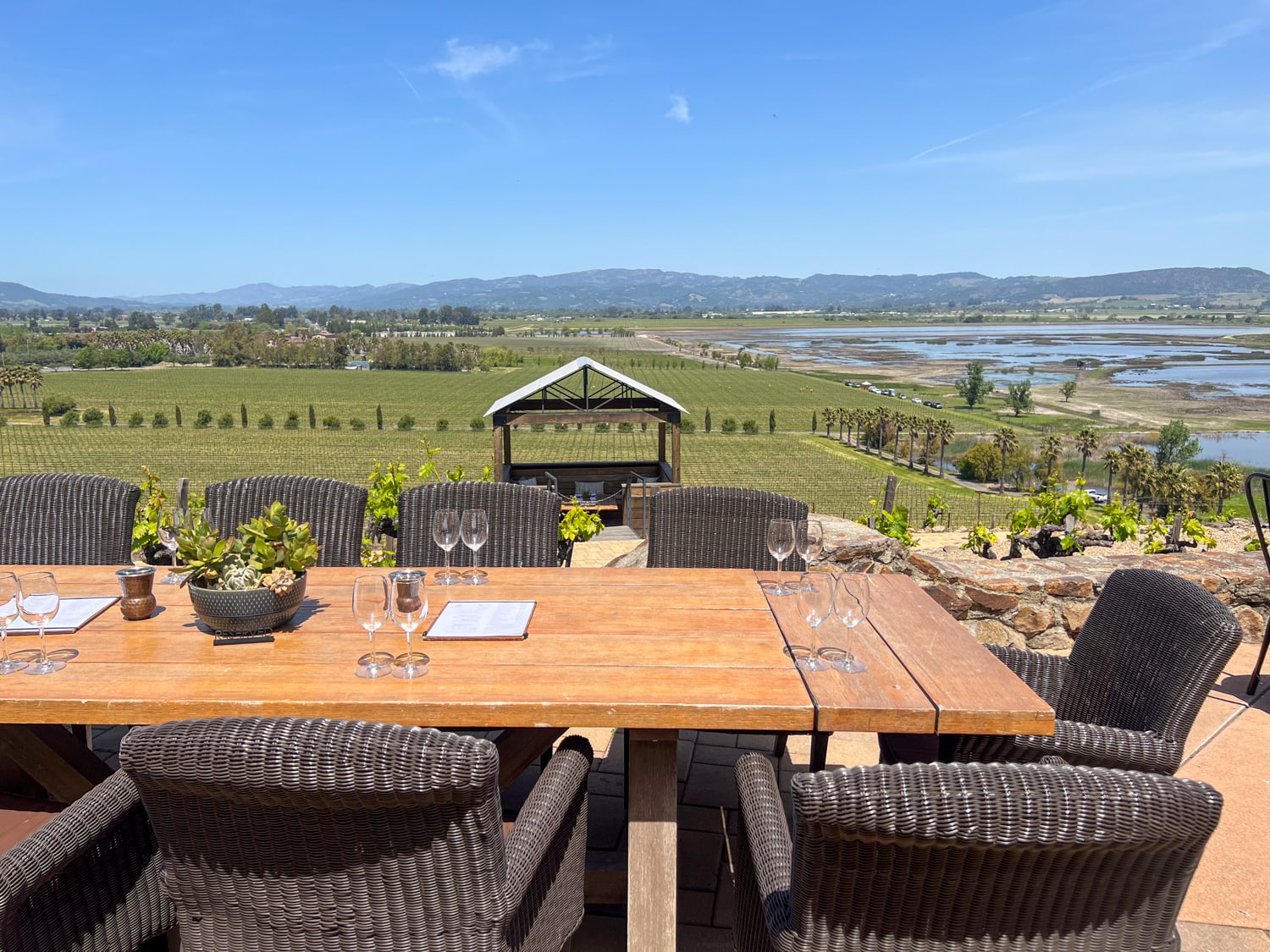 View of Viansa Winery's vineyards and wetlands