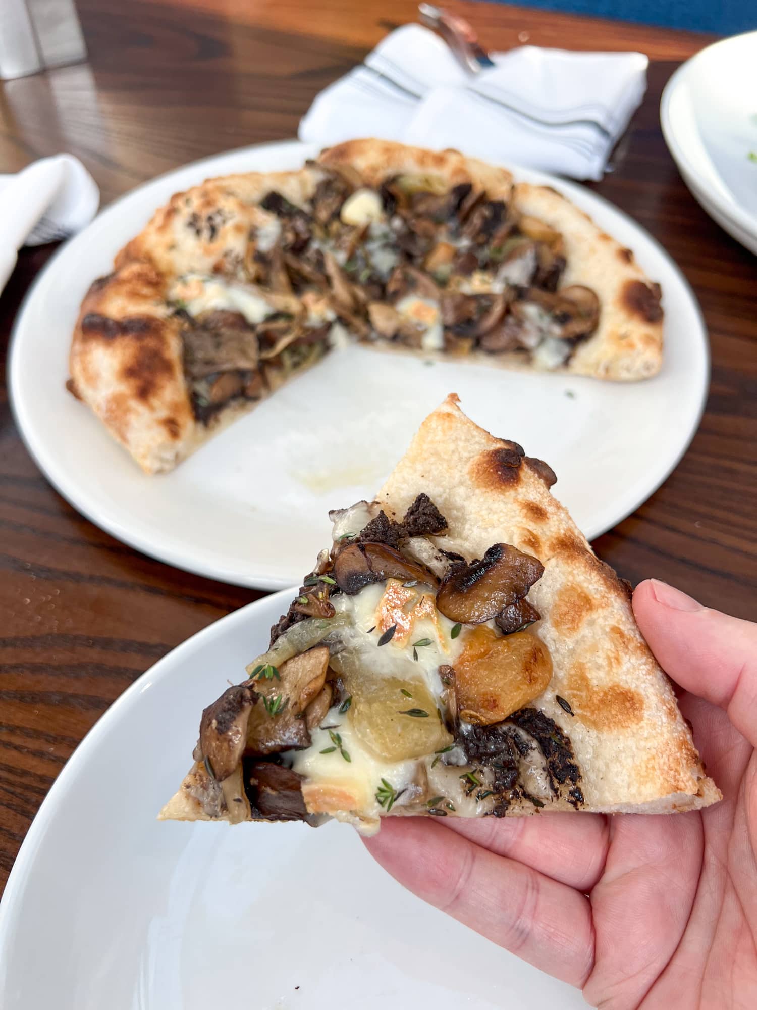 Wild mushroom pizza with taleggio cheese, caramelized onion, roasted garlic, thyme, and truffle oil