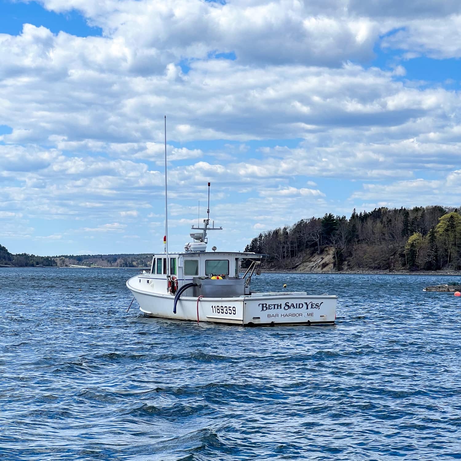 A regular Bar Harbor lobster boat