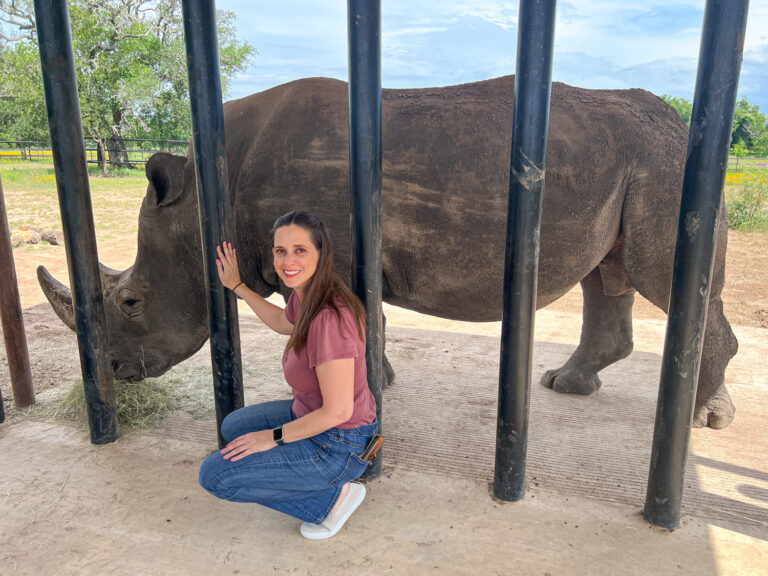 Rhinory A Winery With Rhinos in the Texas Hill Country
