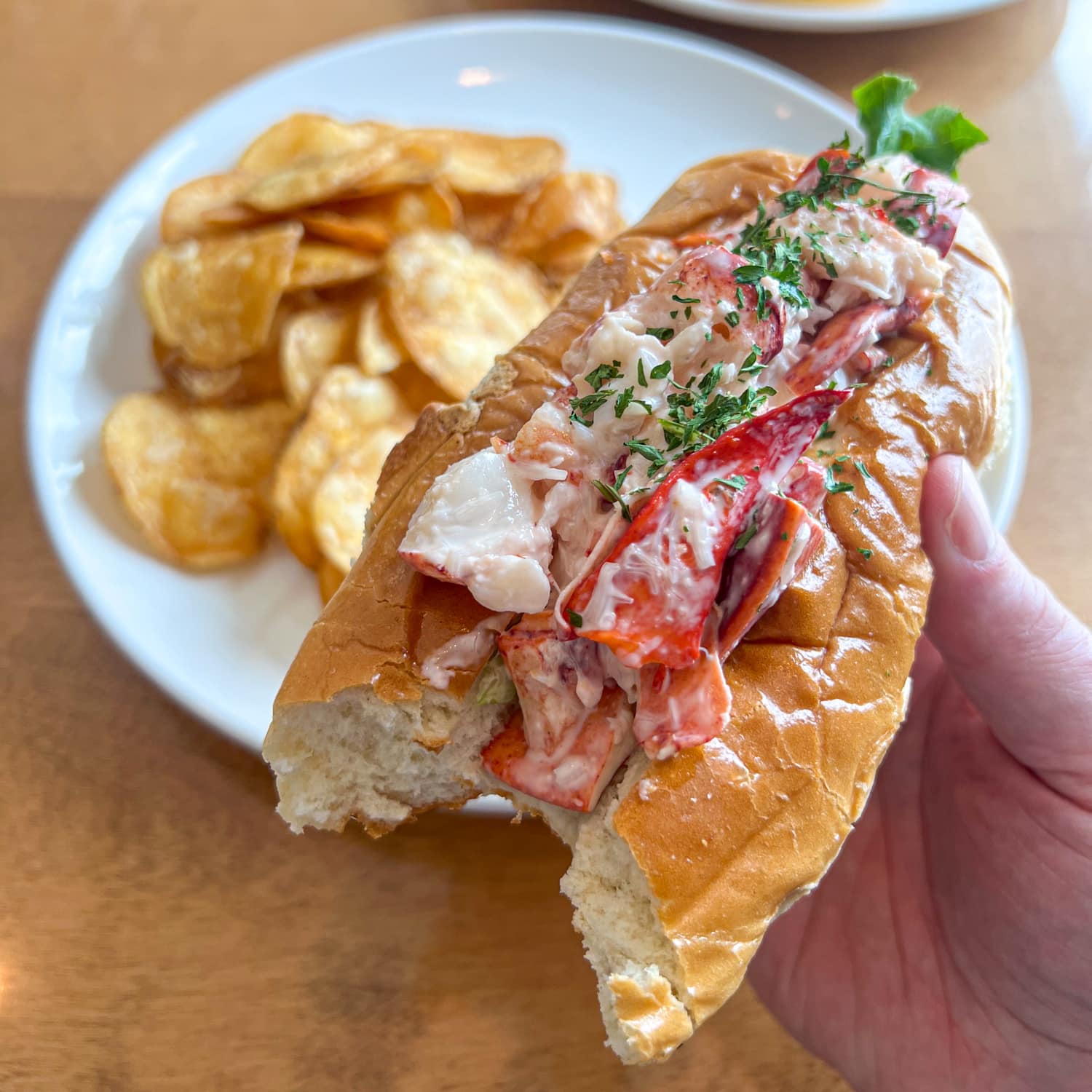 Fresh lobster roll at West Street Cafe in Bar Harbor