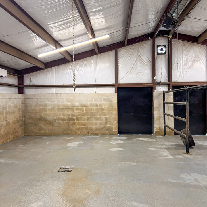 Rhinory A Winery With Rhinos in the Texas Hill Country