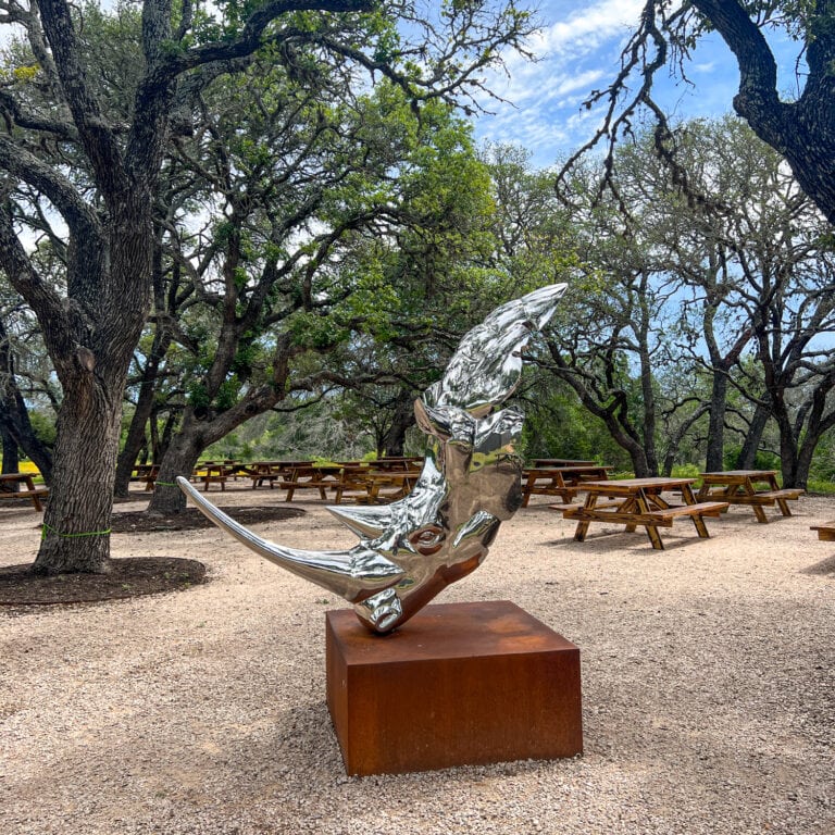 Rhinory A Winery With Rhinos in the Texas Hill Country