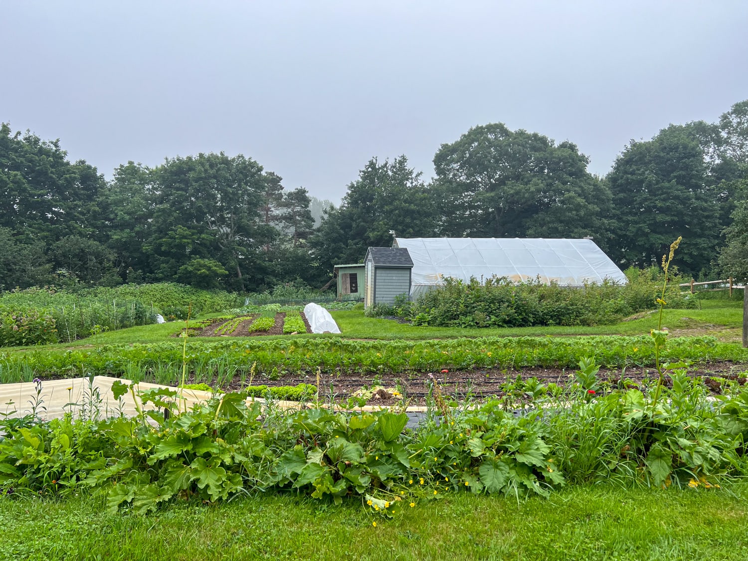 Primo Restaurant's organic farm