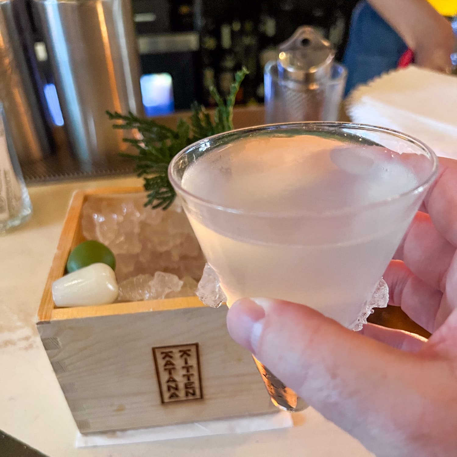 Hinoki Martini at Katana Kitten