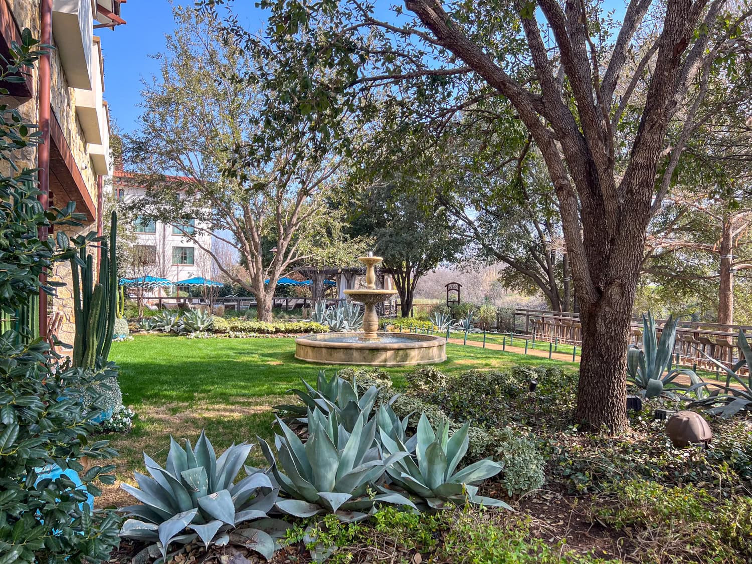 Landscaping in the hotel's Backyard.