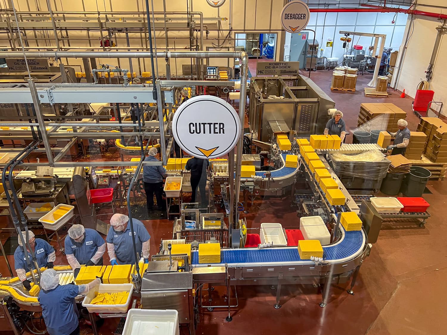 Looking down at the assembly line of cheeses.