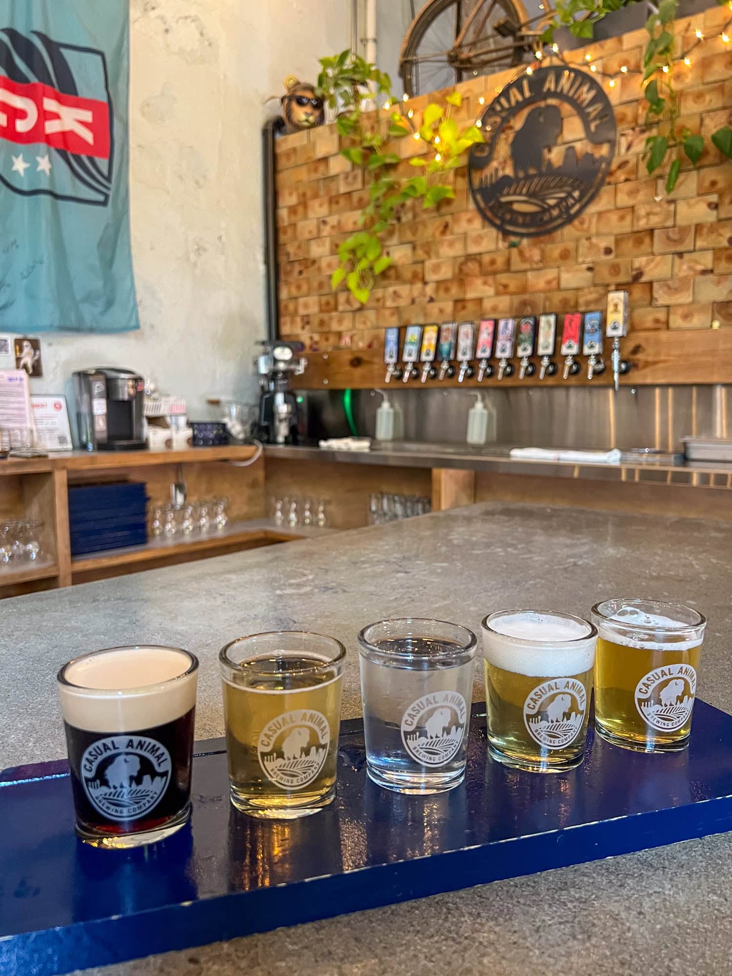 Beer flight at Casual Animal Brewing.