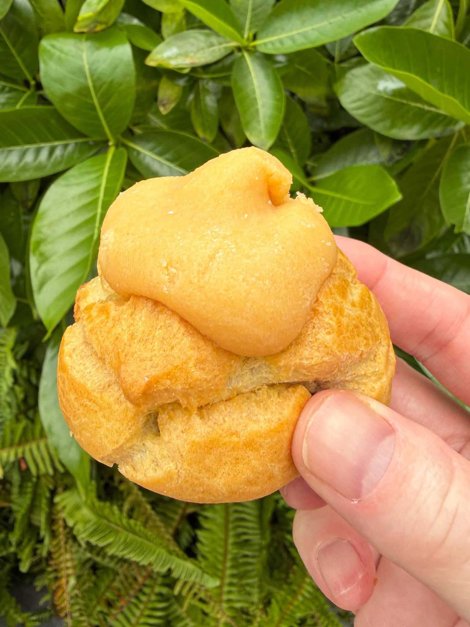 Liliha Bakery's signature Coco Puff.