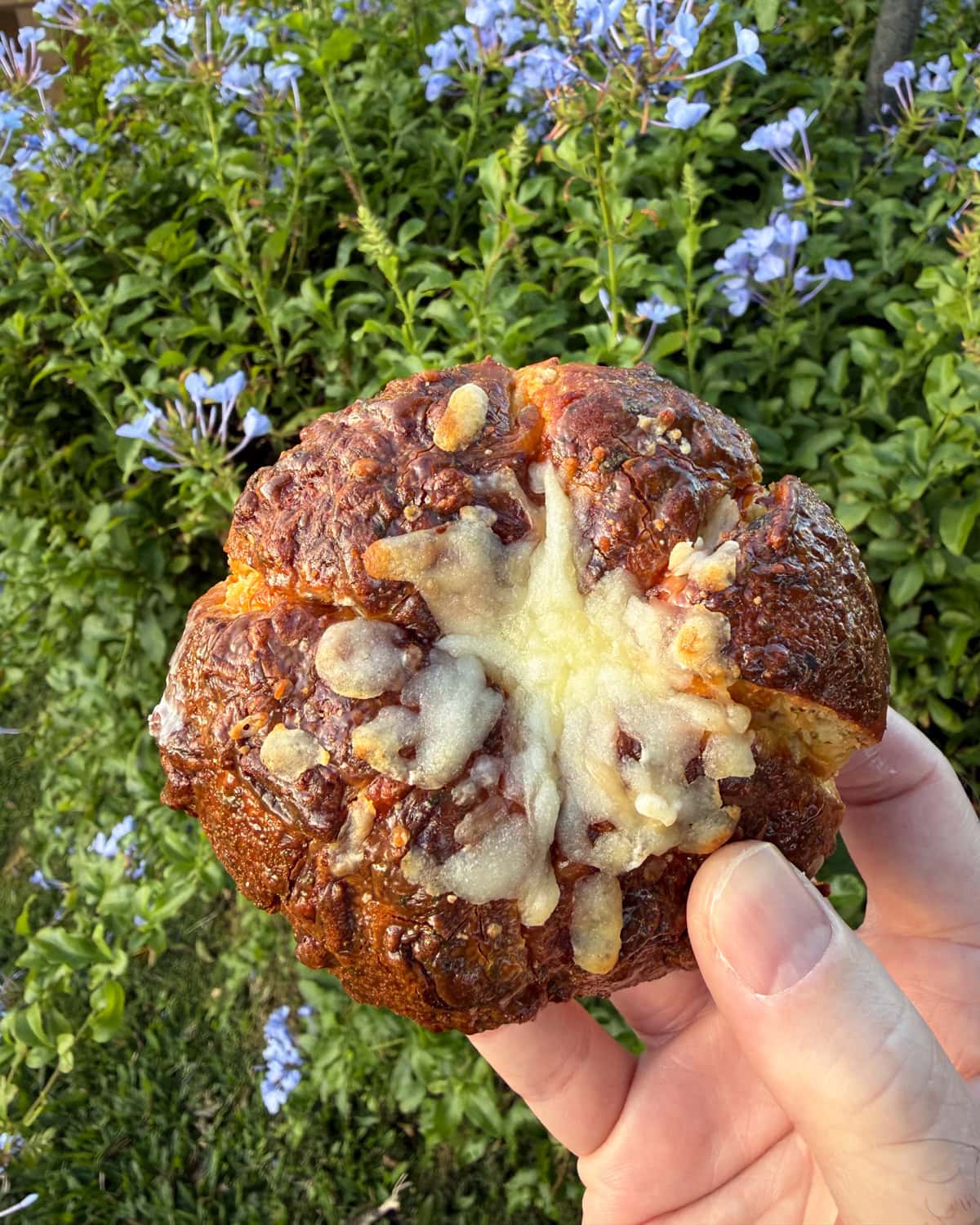 Kauai Bomb pastry from Crumb & Get It bakery in Koloa Kauai with melted cheese on top